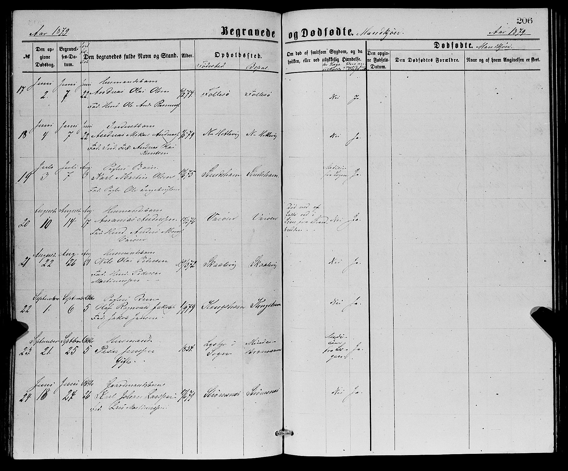 Askøy Sokneprestembete, AV/SAB-A-74101/H/Ha/Hab/Haba/L0007: Parish register (copy) no. A 7, 1871-1881, p. 206