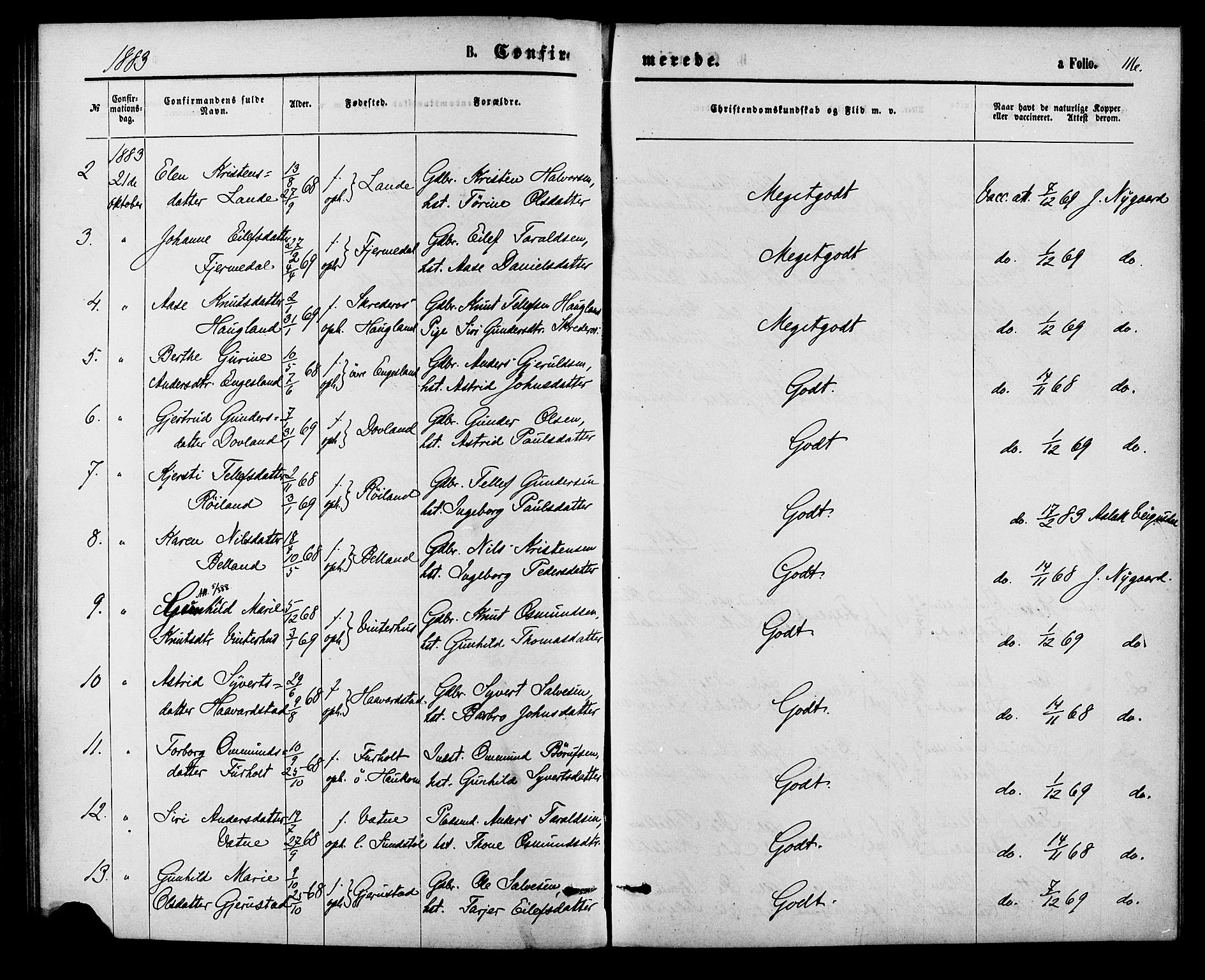 Herefoss sokneprestkontor, AV/SAK-1111-0019/F/Fa/Fab/L0003: Parish register (official) no. A 3, 1875-1886, p. 116