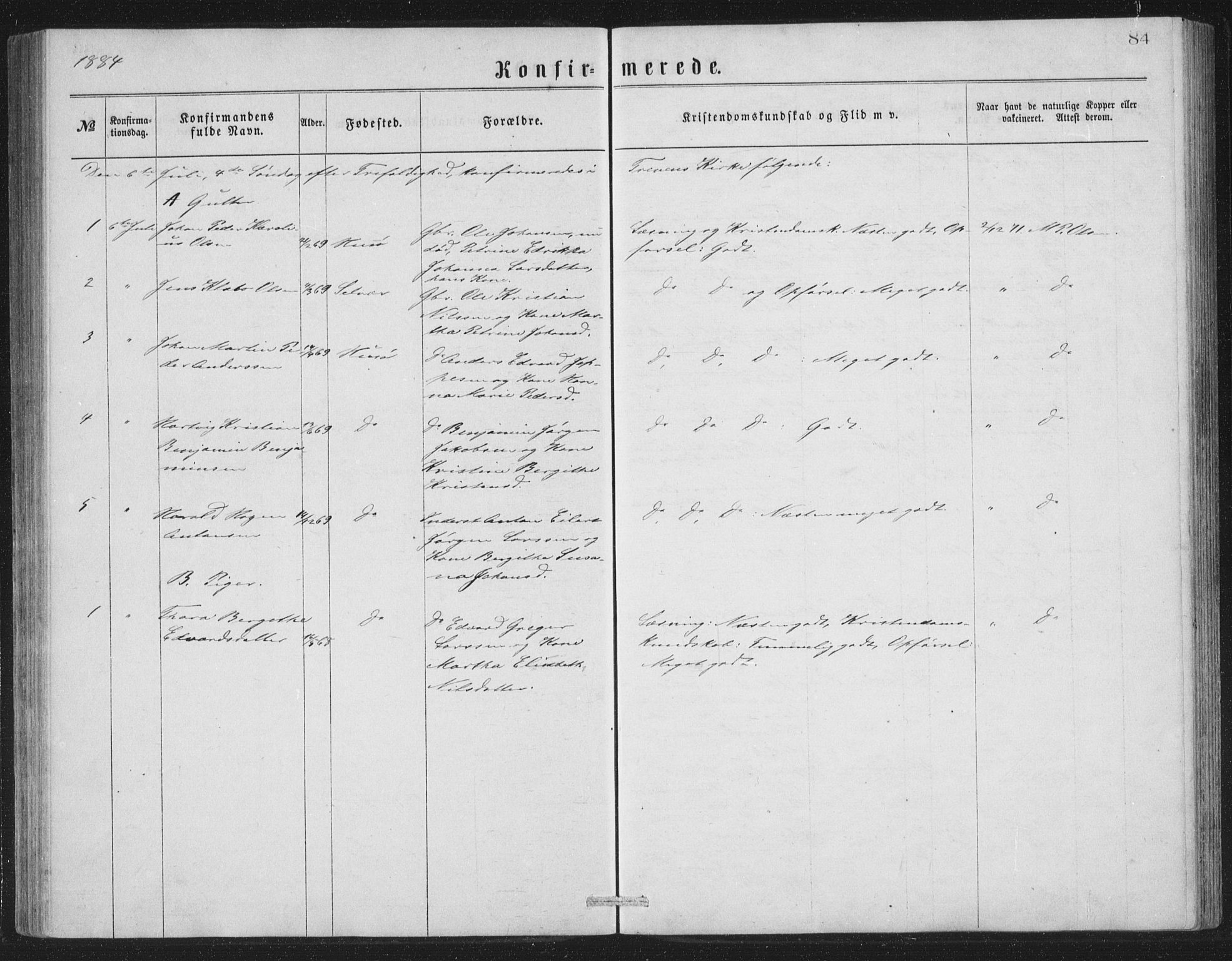 Ministerialprotokoller, klokkerbøker og fødselsregistre - Nordland, AV/SAT-A-1459/840/L0582: Parish register (copy) no. 840C02, 1874-1900, p. 84