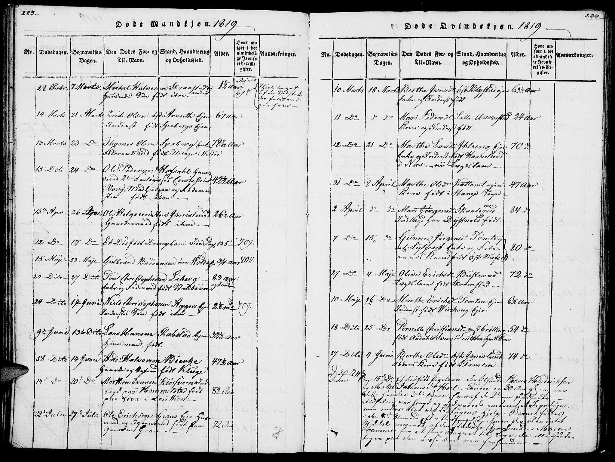 Vang prestekontor, Hedmark, SAH/PREST-008/H/Ha/Haa/L0007: Parish register (official) no. 7, 1813-1826, p. 223-224