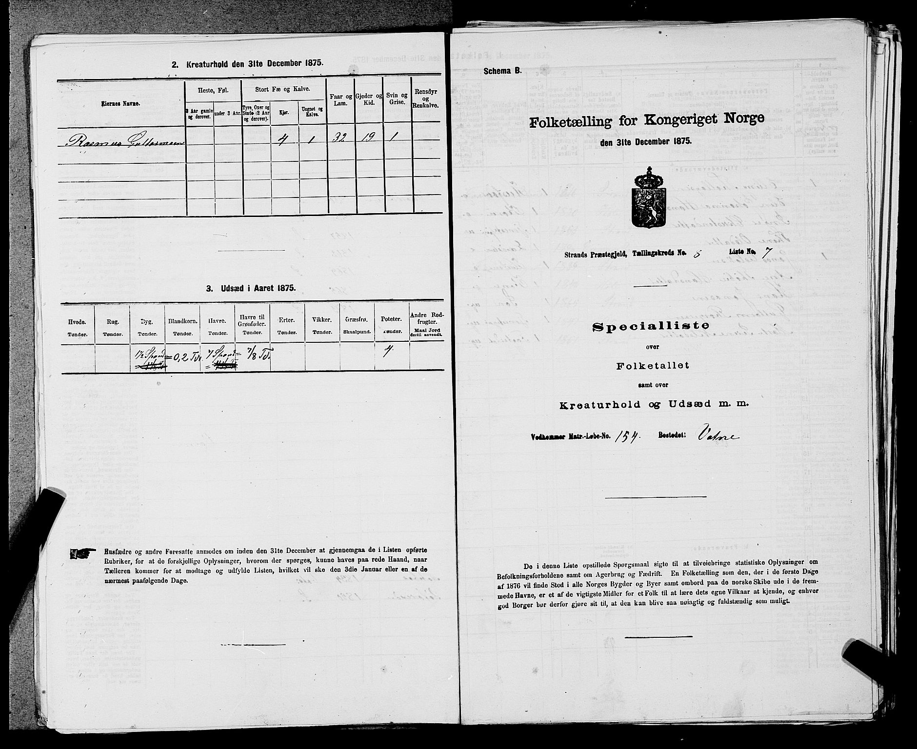 SAST, 1875 census for 1130P Strand, 1875, p. 734