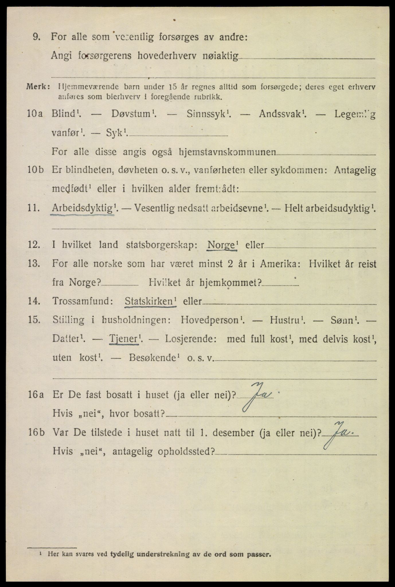 SAH, 1920 census for Tynset, 1920, p. 5529