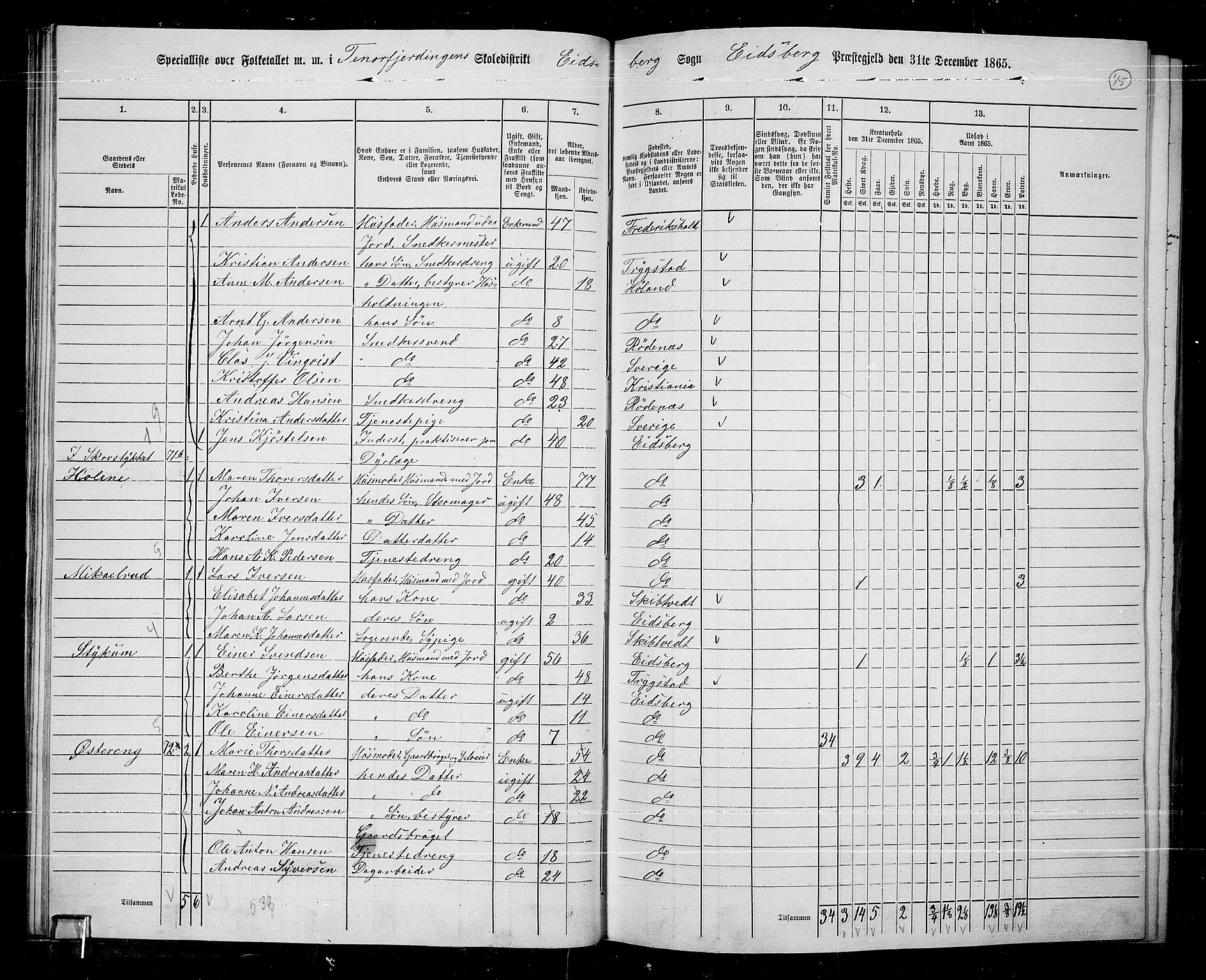 RA, 1865 census for Eidsberg, 1865, p. 40