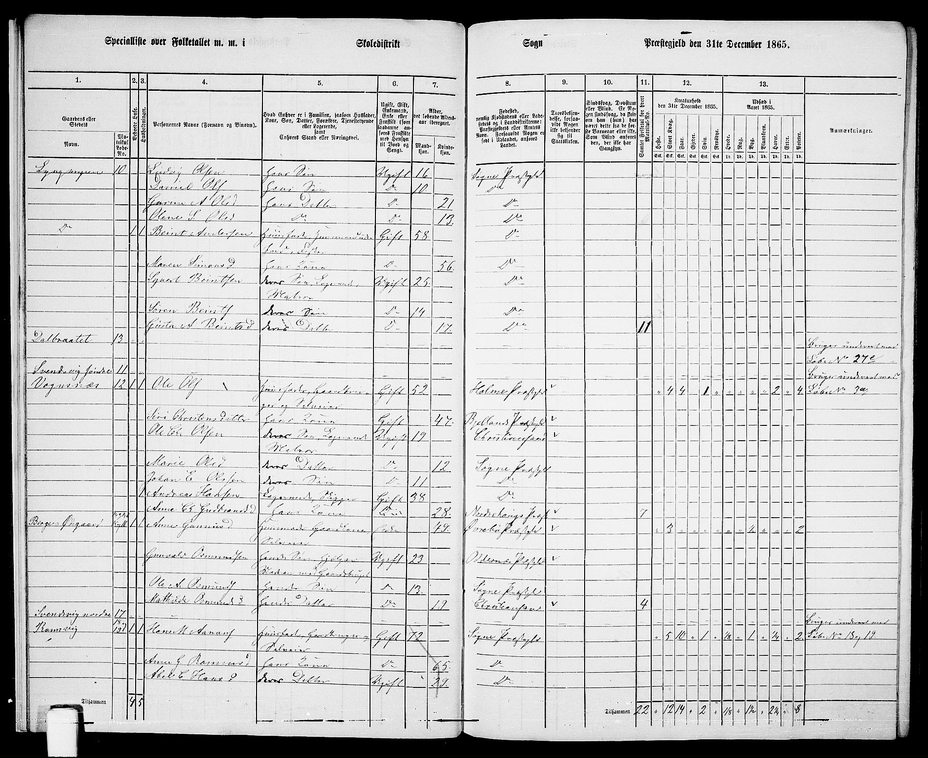 RA, 1865 census for Søgne, 1865, p. 20