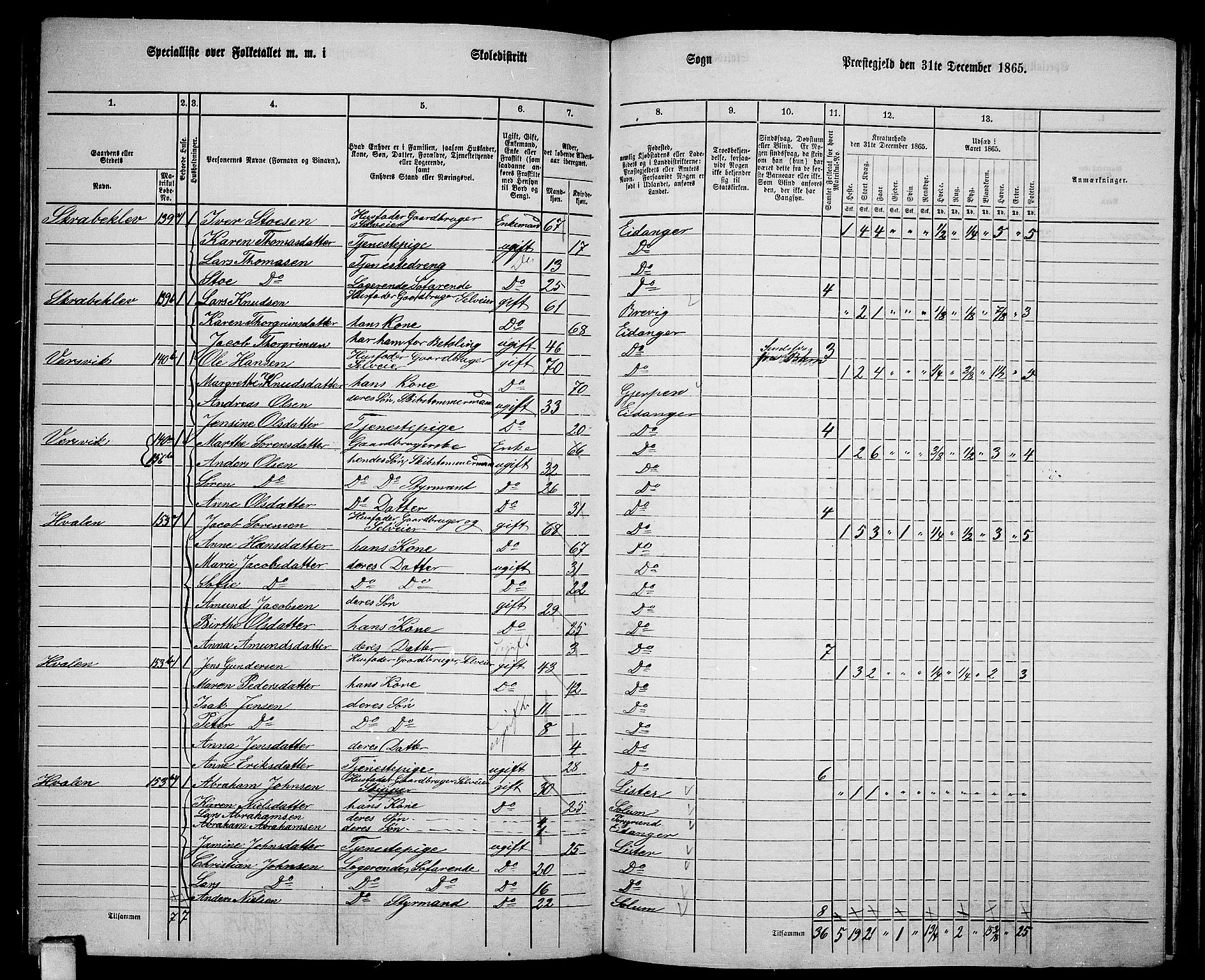 RA, 1865 census for Eidanger, 1865, p. 75