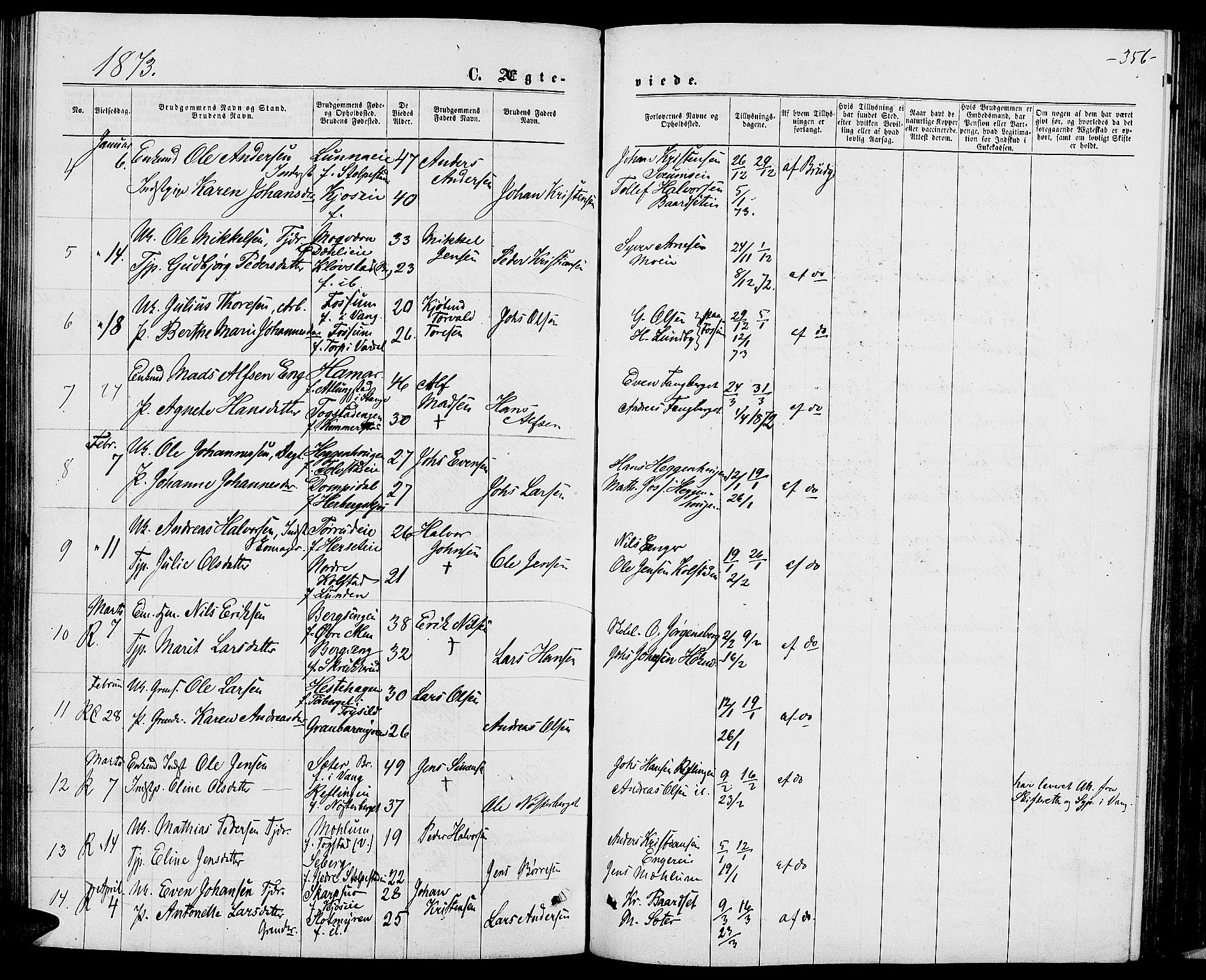 Ringsaker prestekontor, AV/SAH-PREST-014/L/La/L0008: Parish register (copy) no. 8, 1870-1878, p. 356