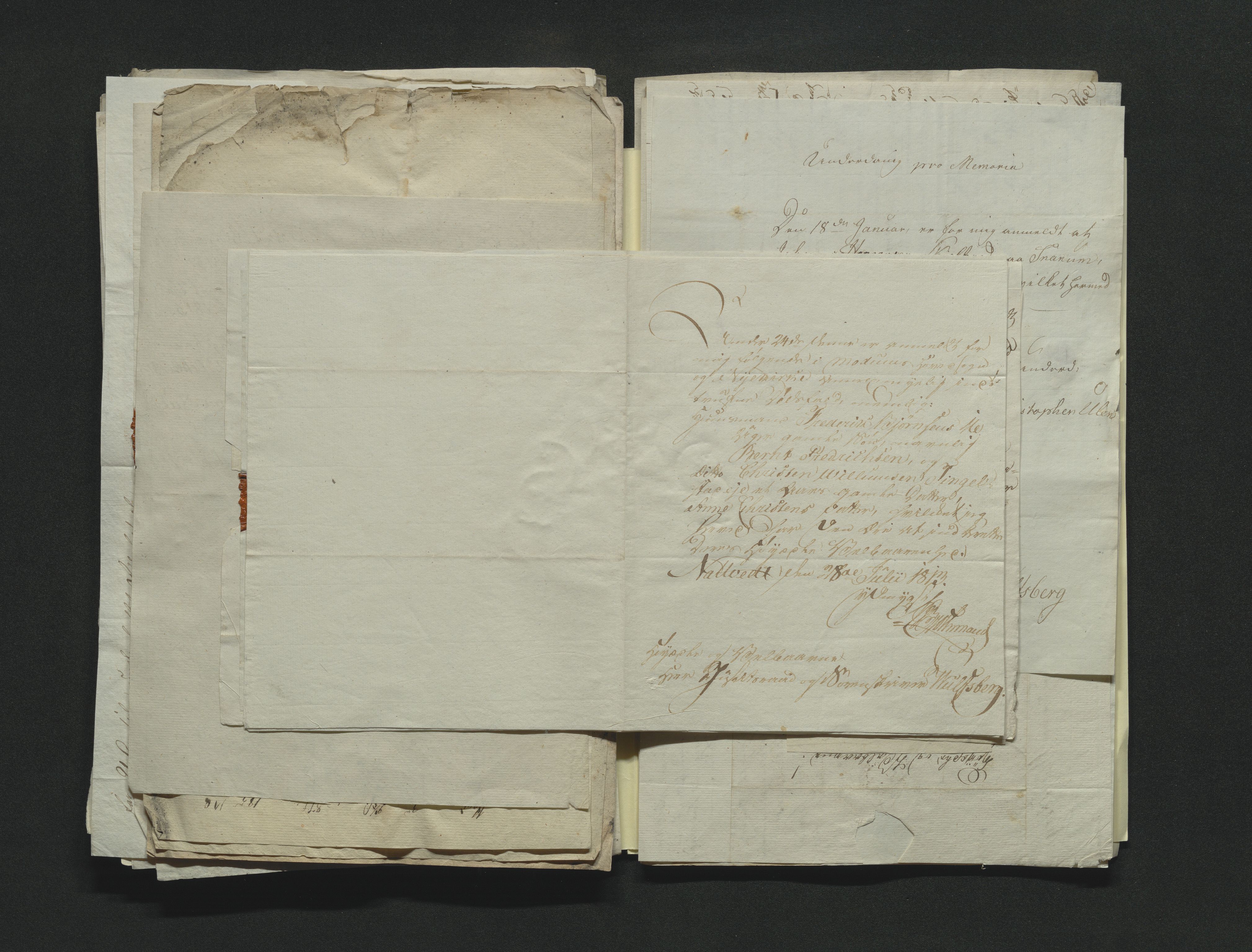 Eiker, Modum og Sigdal sorenskriveri, AV/SAKO-A-123/H/Ha/Hab/L0001: Dødsfallsmeldinger, 1812-1822, p. 95