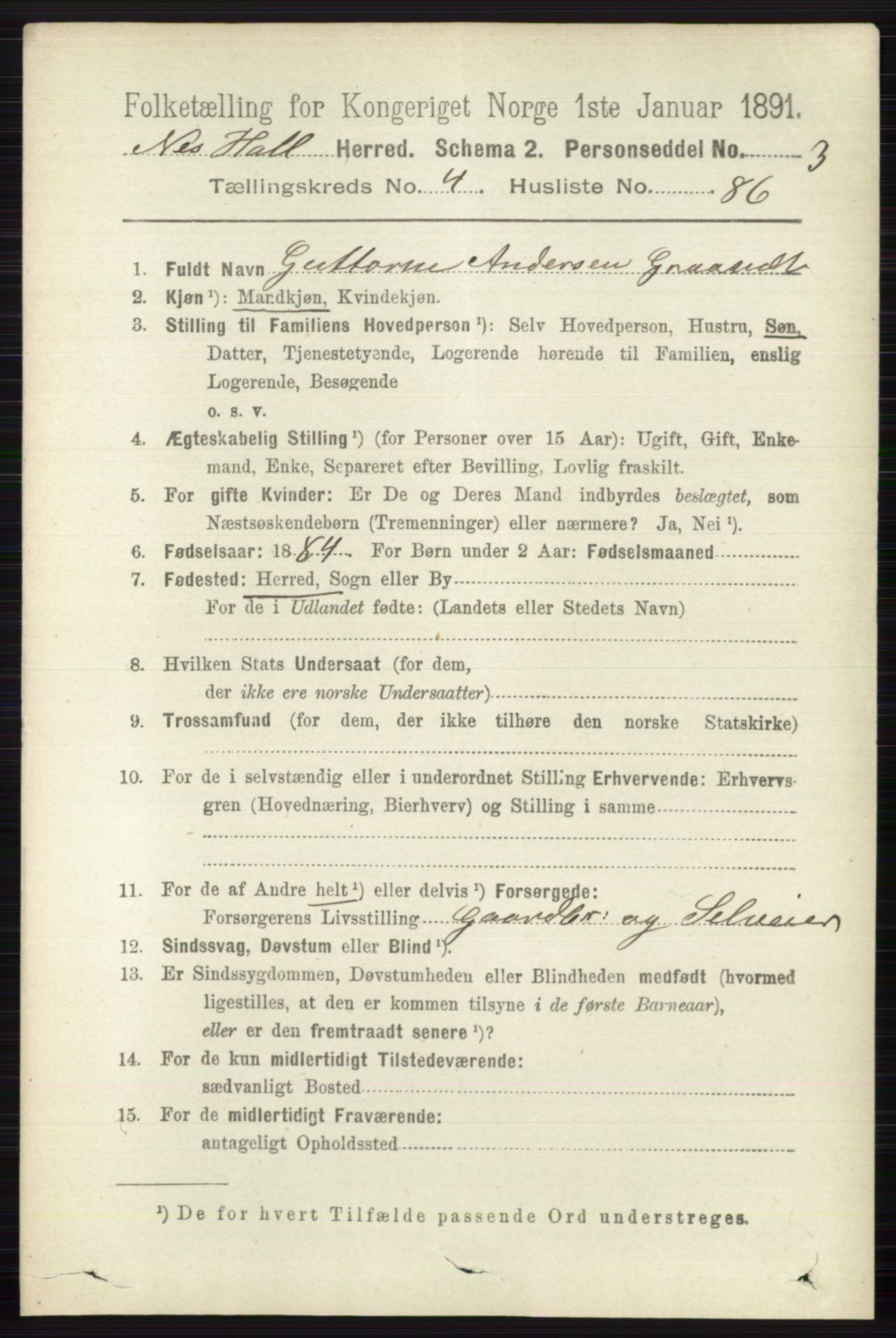 RA, 1891 census for 0616 Nes, 1891, p. 2569