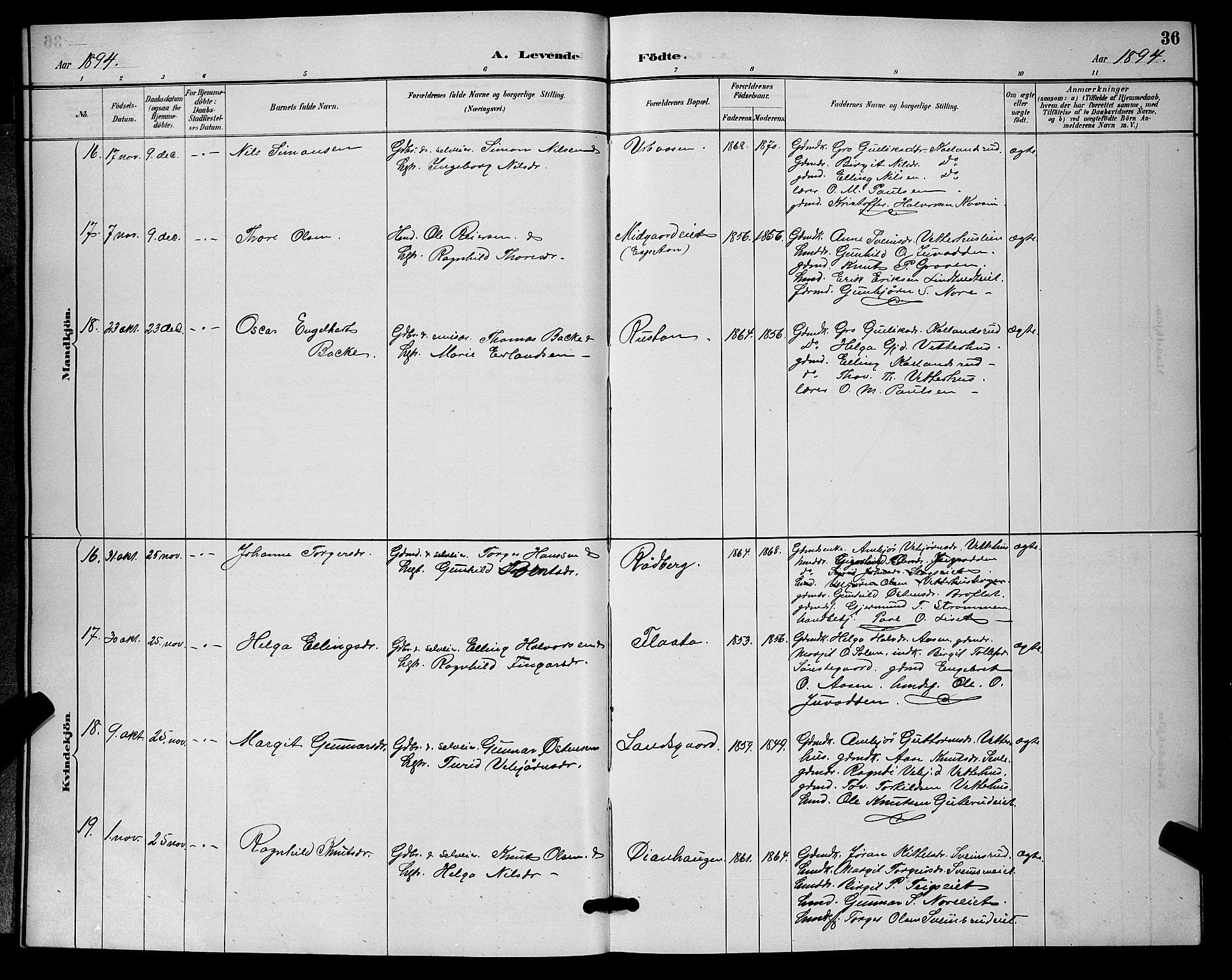 Nore kirkebøker, SAKO/A-238/G/Ga/L0003: Parish register (copy) no. I 3, 1886-1903, p. 36