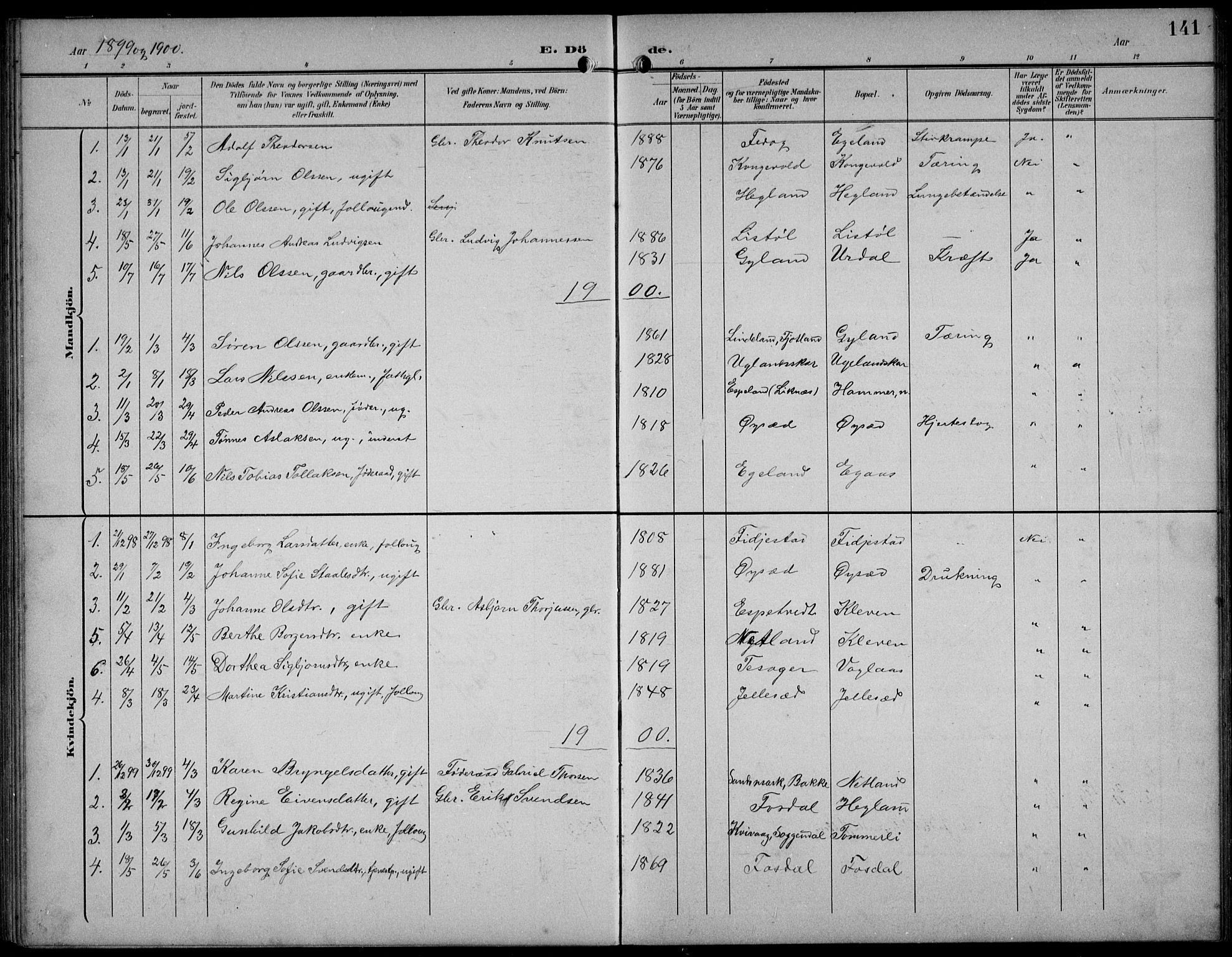 Bakke sokneprestkontor, SAK/1111-0002/F/Fb/Fbb/L0004: Parish register (copy) no. B 4, 1896-1927, p. 141