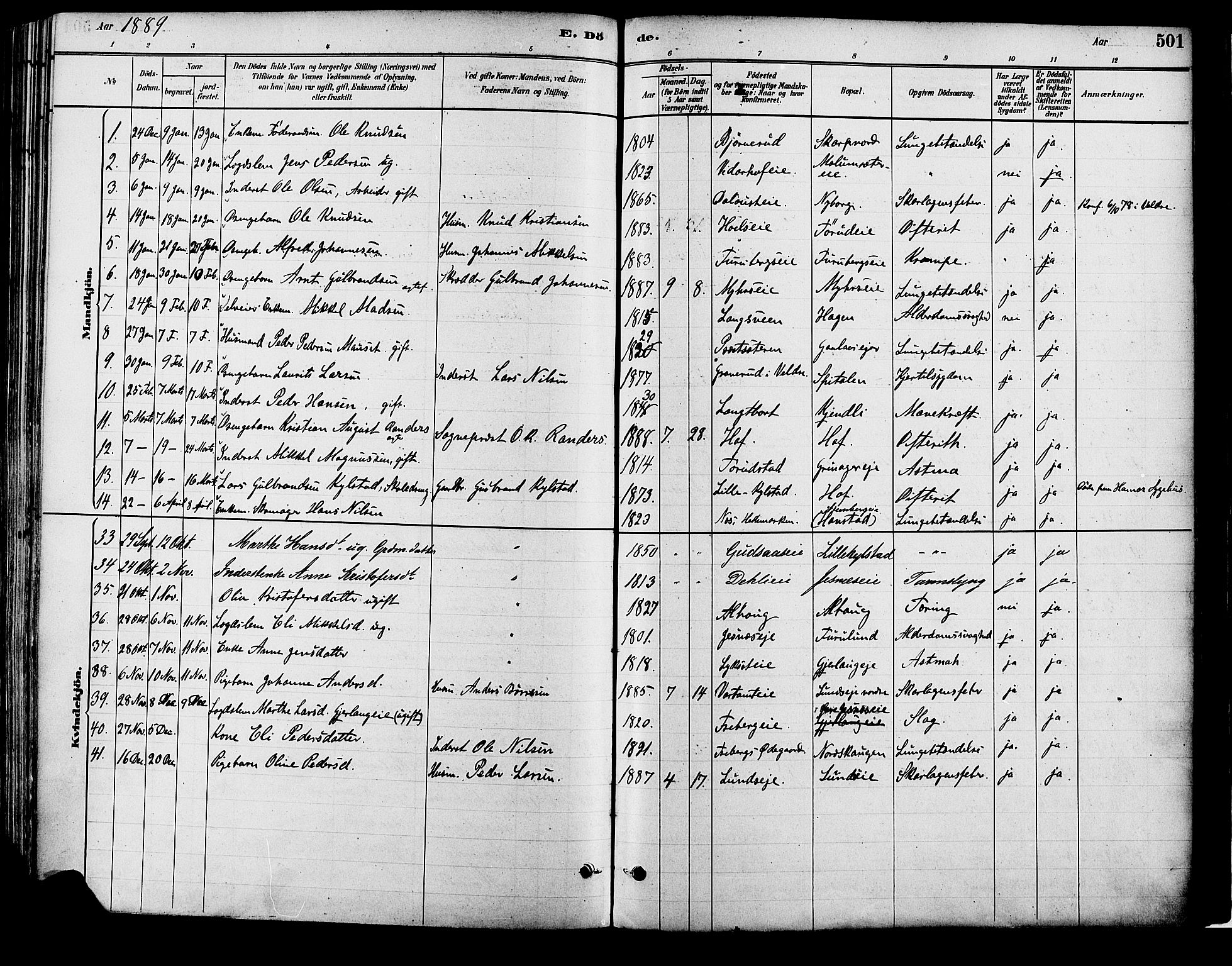 Vang prestekontor, Hedmark, SAH/PREST-008/H/Ha/Haa/L0018B: Parish register (official) no. 18B, 1880-1906, p. 501