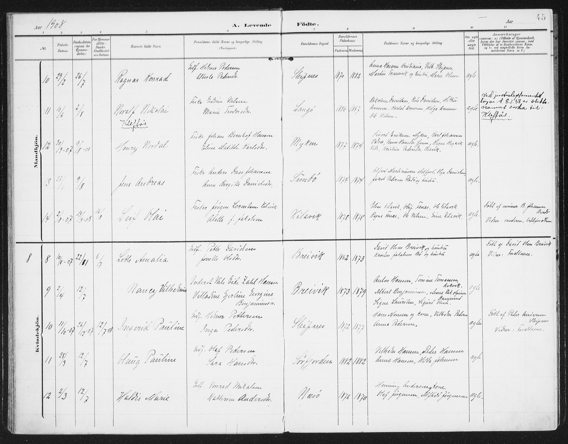 Ministerialprotokoller, klokkerbøker og fødselsregistre - Nordland, AV/SAT-A-1459/841/L0612: Parish register (official) no. 841A15, 1902-1910, p. 45