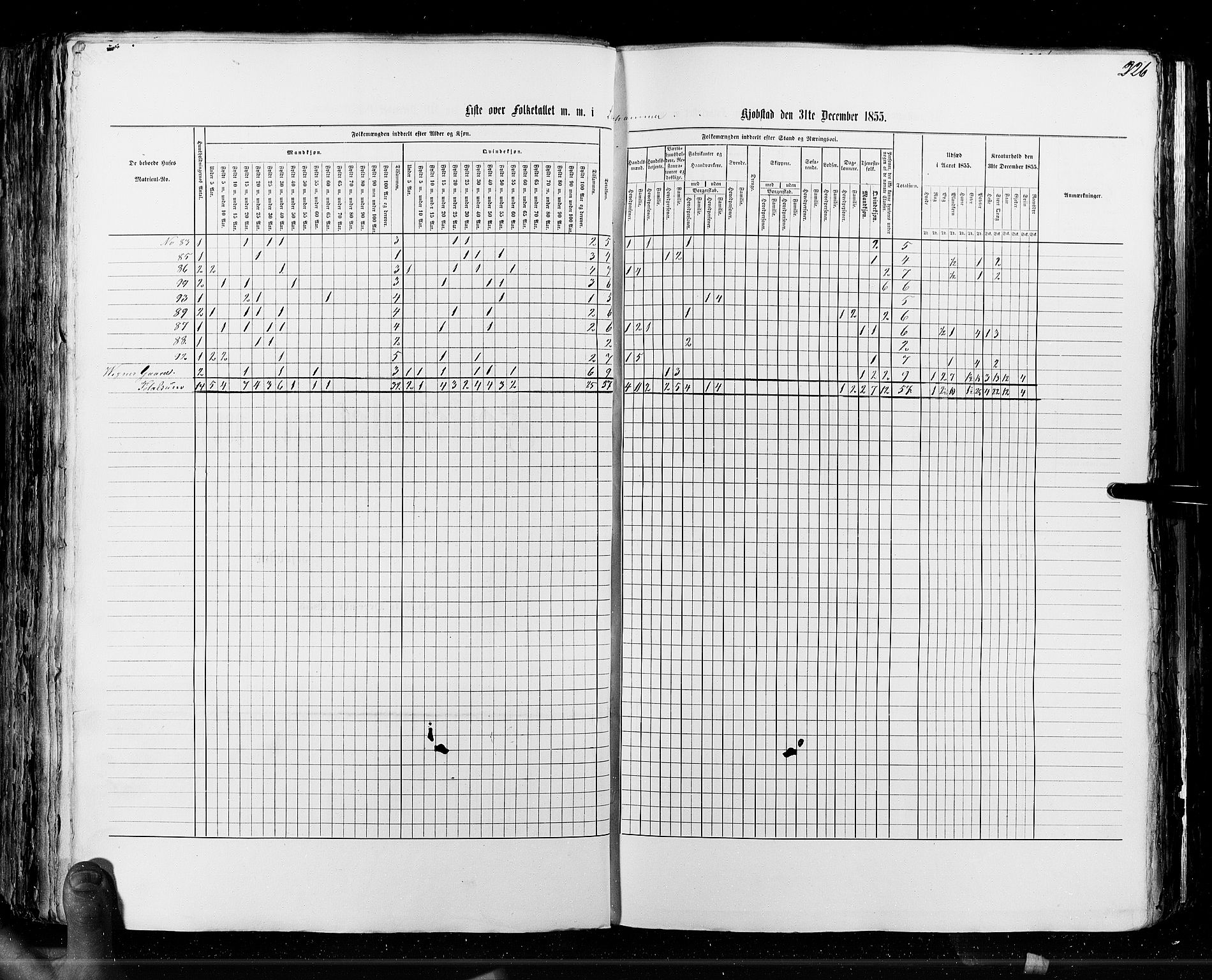 RA, Census 1855, vol. 7: Fredrikshald-Kragerø, 1855, p. 226