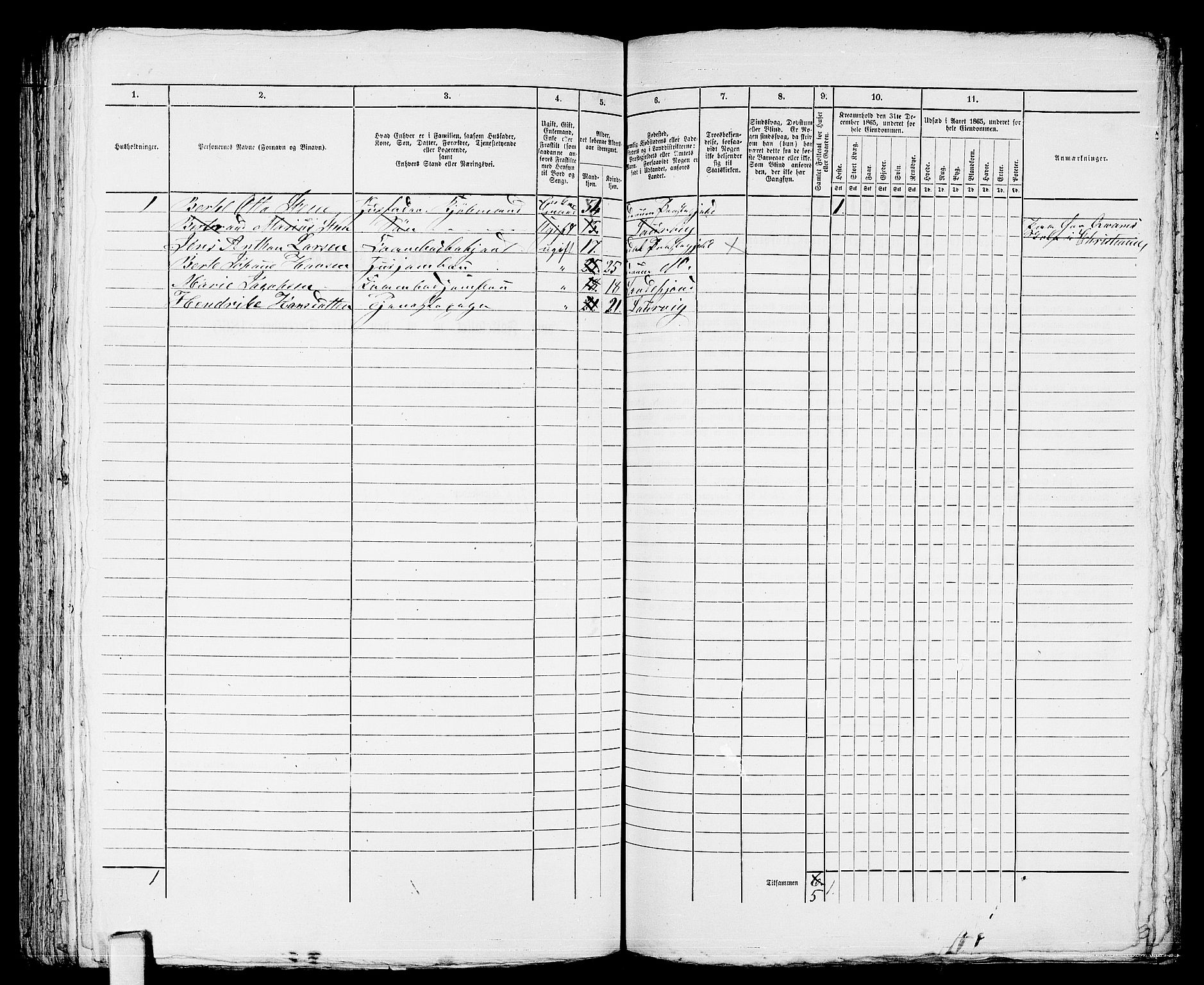 RA, 1865 census for Larvik, 1865, p. 462