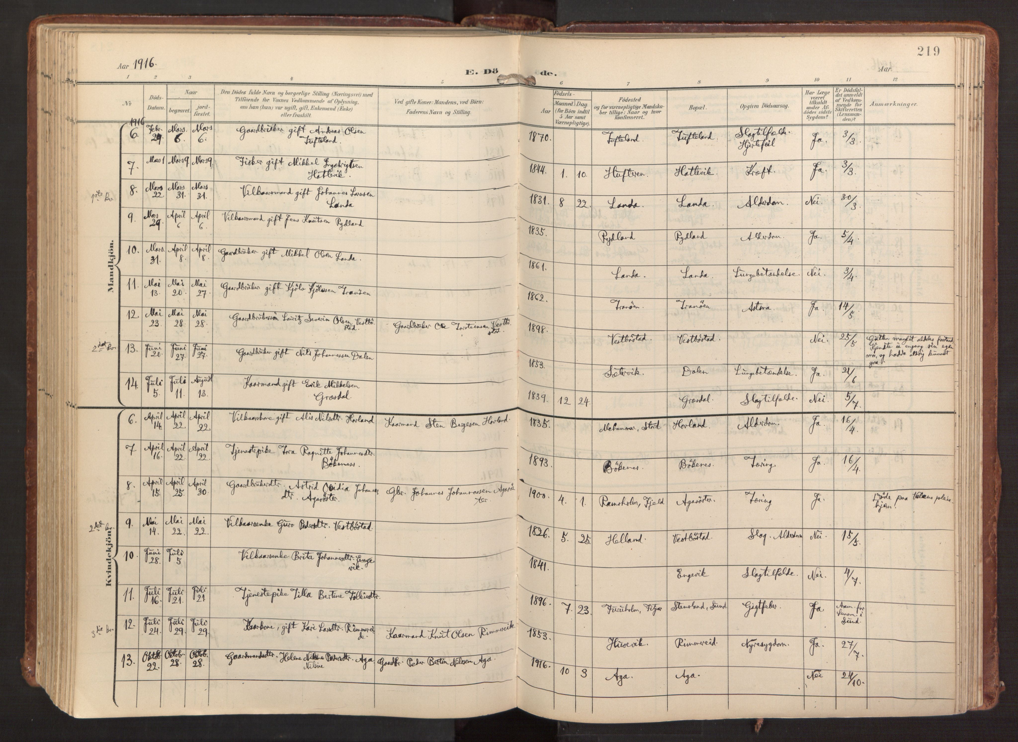 Fitjar sokneprestembete, AV/SAB-A-99926: Parish register (official) no. A 3, 1900-1918, p. 219