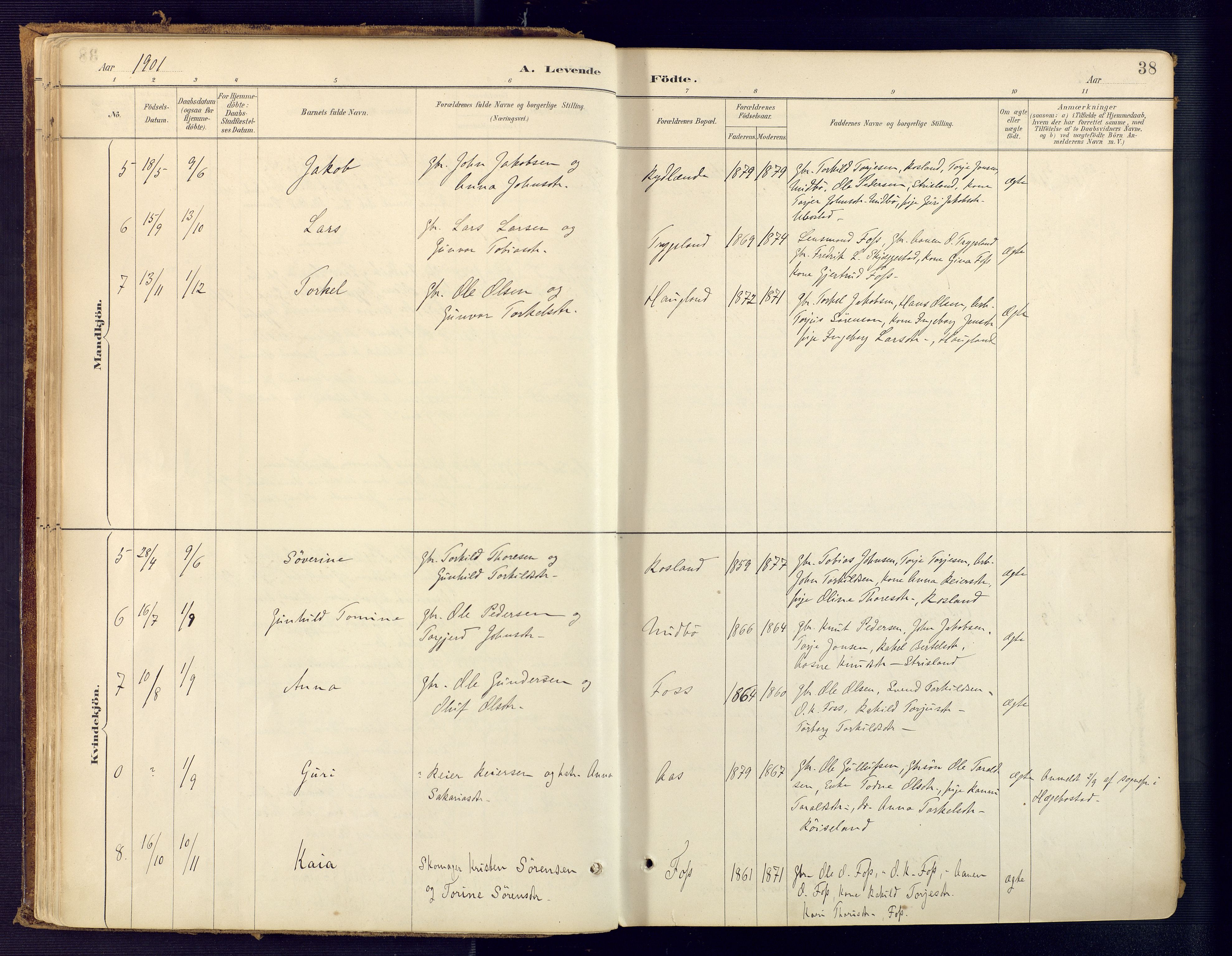 Bjelland sokneprestkontor, SAK/1111-0005/F/Fa/Faa/L0004: Parish register (official) no. A 4, 1887-1923, p. 38