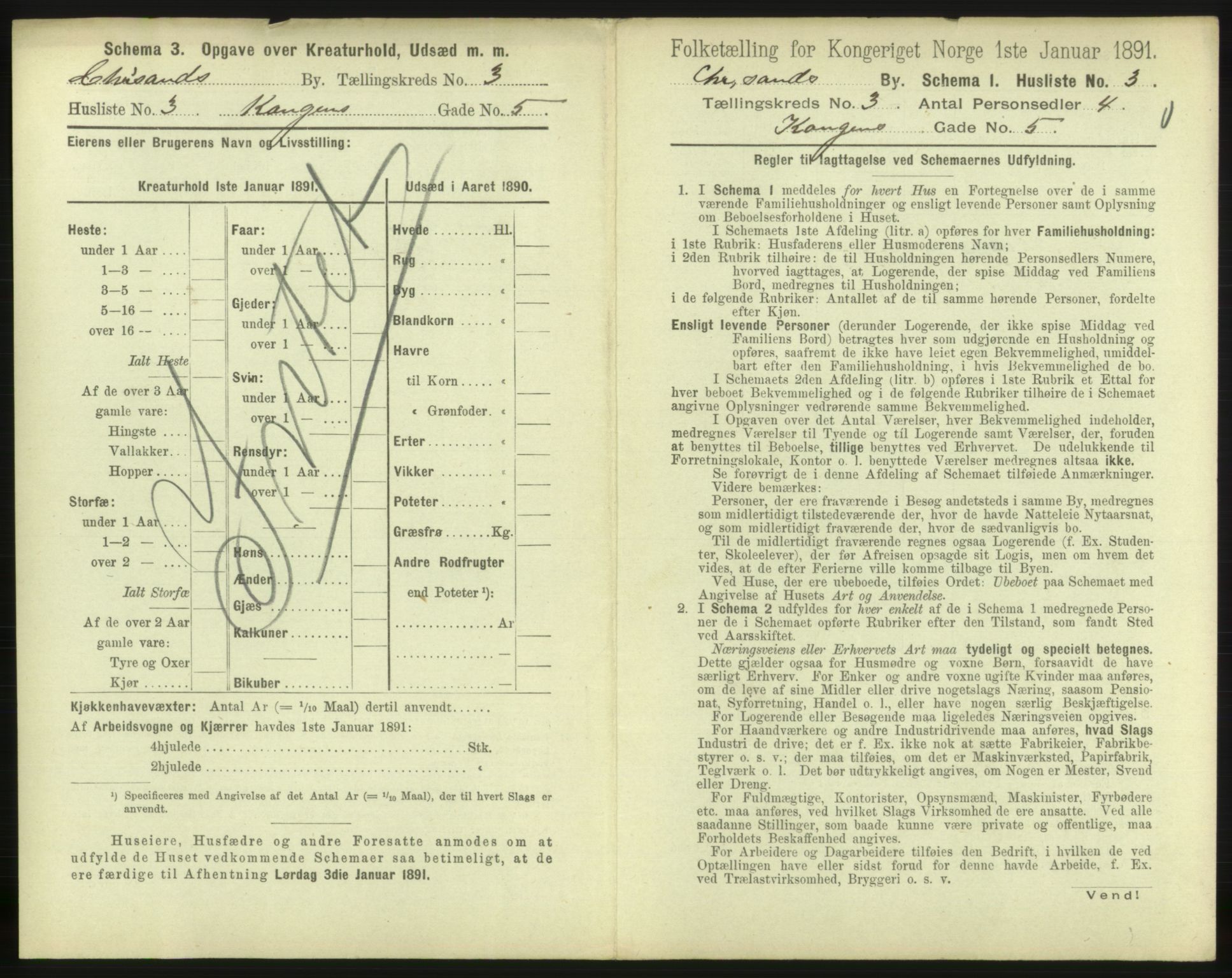 RA, 1891 census for 1001 Kristiansand, 1891, p. 298