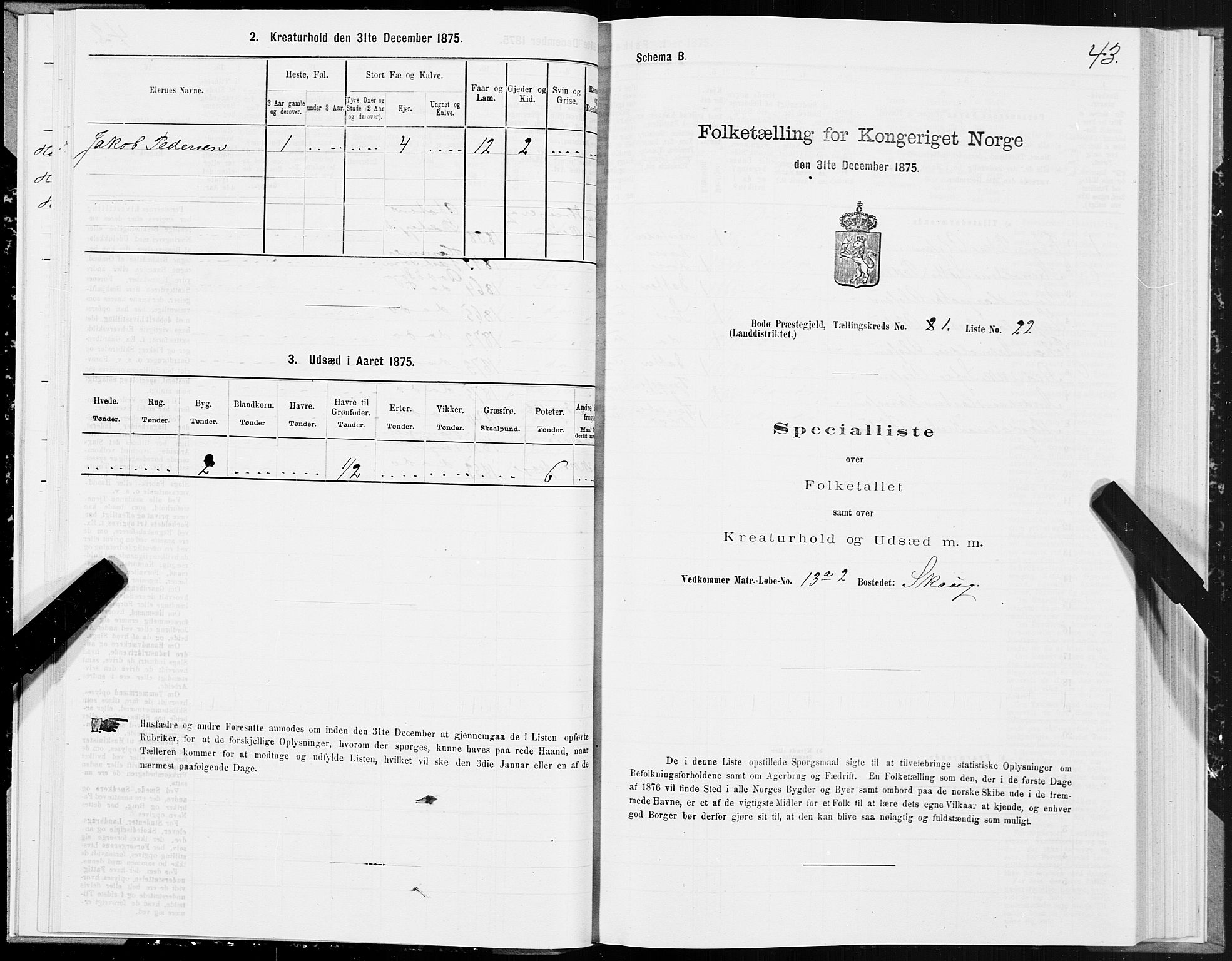 SAT, 1875 census for 1843L Bodø/Bodø, 1875, p. 1043