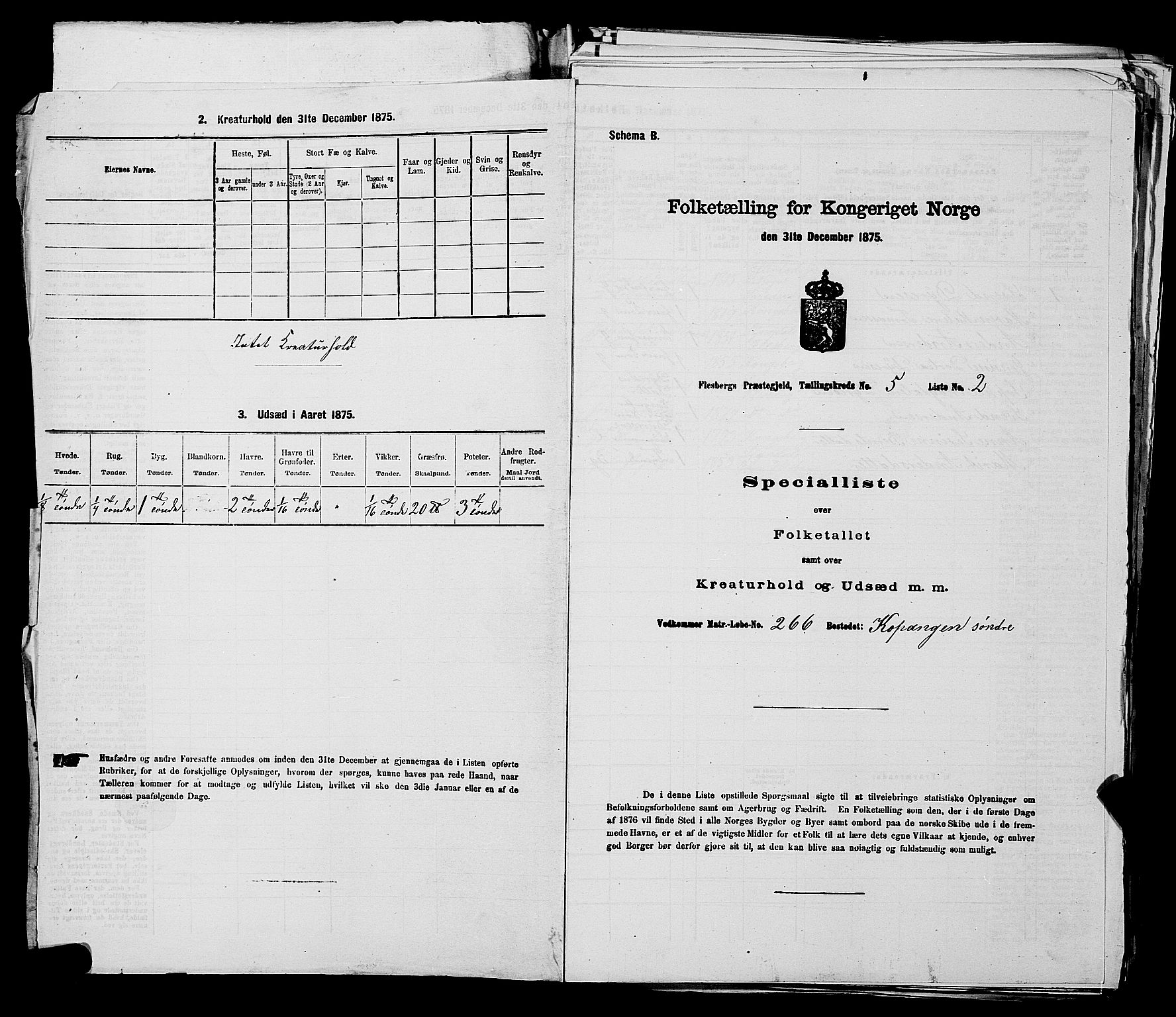 SAKO, 1875 census for 0631P Flesberg, 1875, p. 884