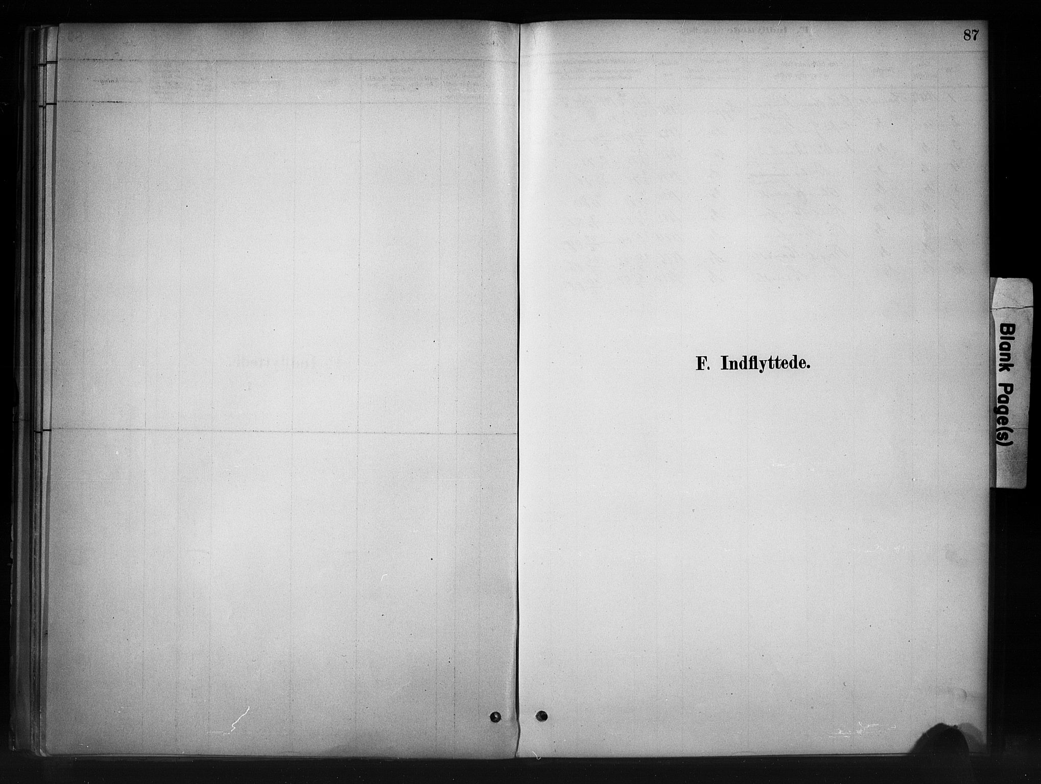 Nord-Aurdal prestekontor, AV/SAH-PREST-132/H/Ha/Haa/L0011: Parish register (official) no. 11, 1883-1896, p. 87