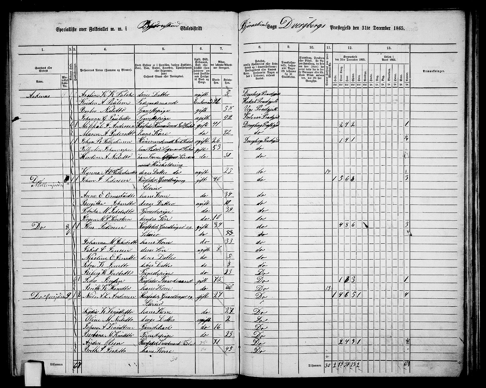 RA, 1865 census for Dverberg, 1865, p. 39