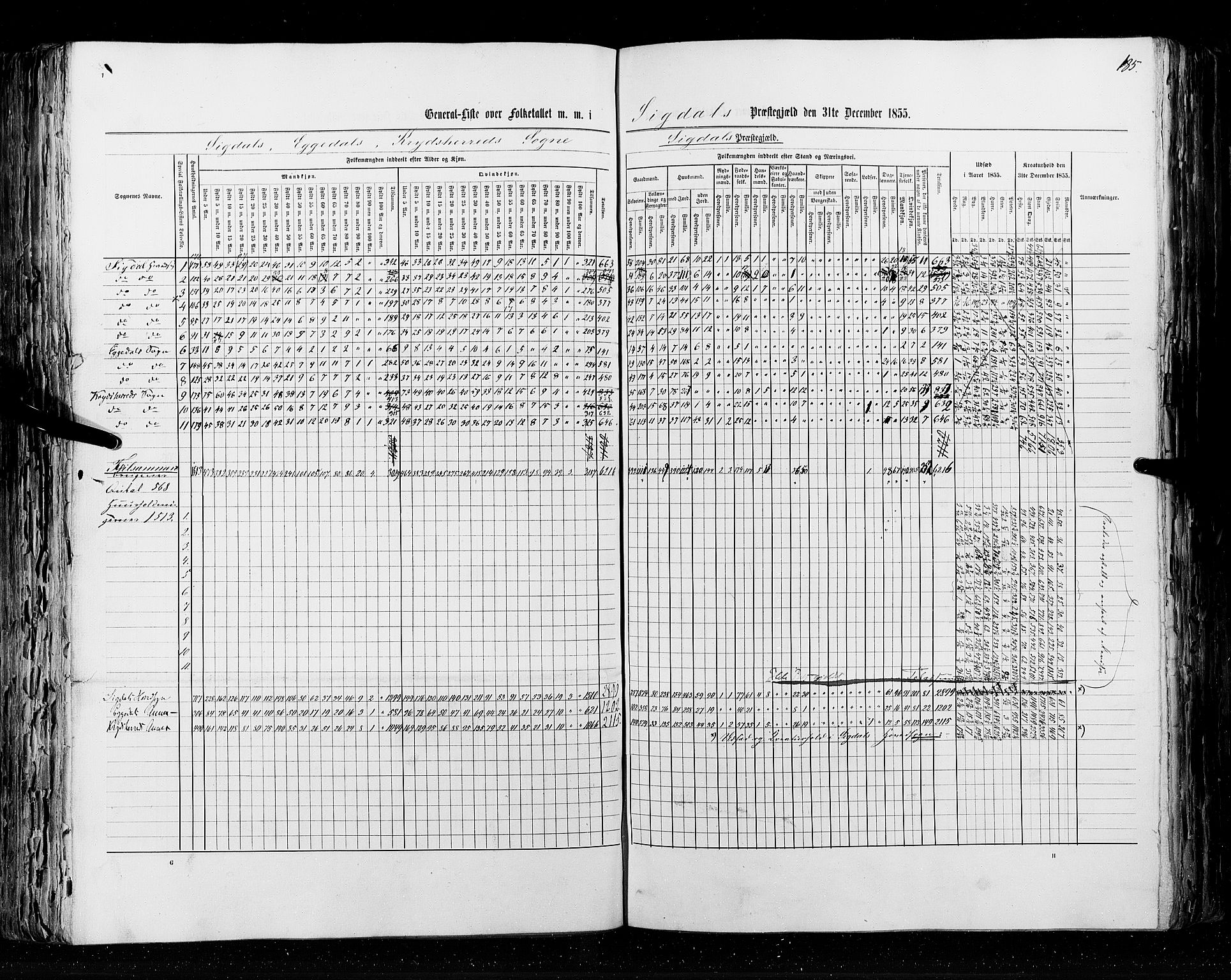 RA, Census 1855, vol. 2: Kristians amt, Buskerud amt og Jarlsberg og Larvik amt, 1855, p. 185