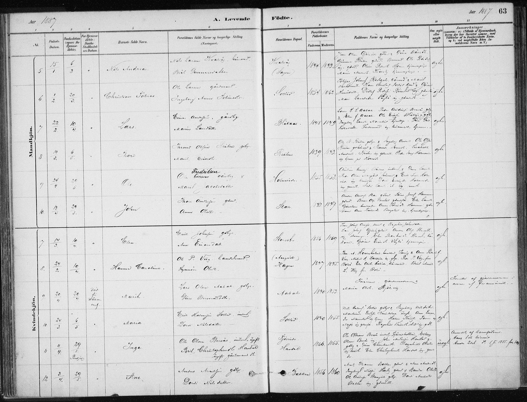 Ministerialprotokoller, klokkerbøker og fødselsregistre - Møre og Romsdal, AV/SAT-A-1454/586/L0987: Parish register (official) no. 586A13, 1879-1892, p. 63