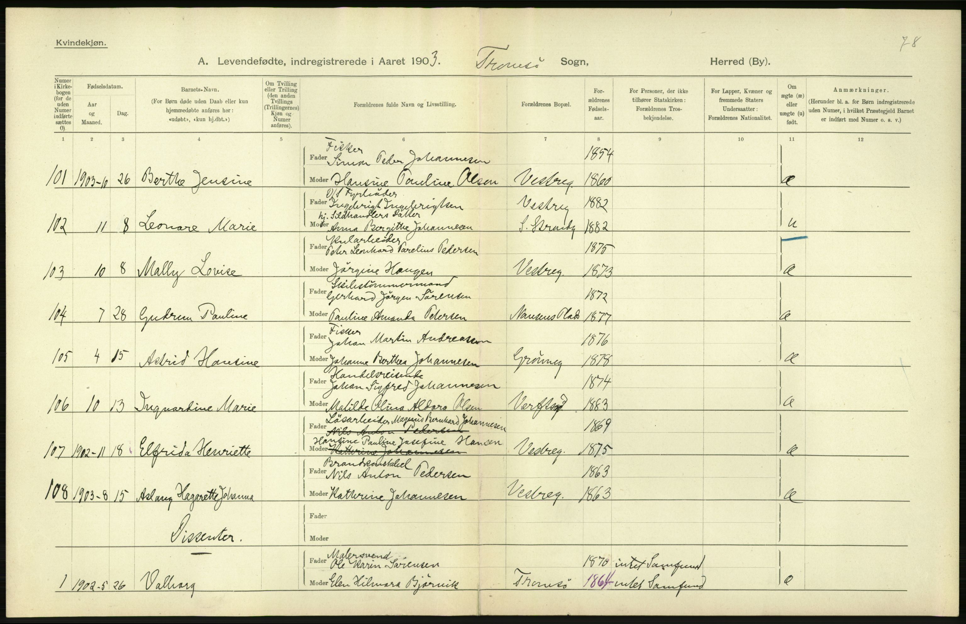 Statistisk sentralbyrå, Sosiodemografiske emner, Befolkning, AV/RA-S-2228/D/Df/Dfa/Dfaa/L0021: Tromsø amt: Fødte, gifte, døde., 1903, p. 278