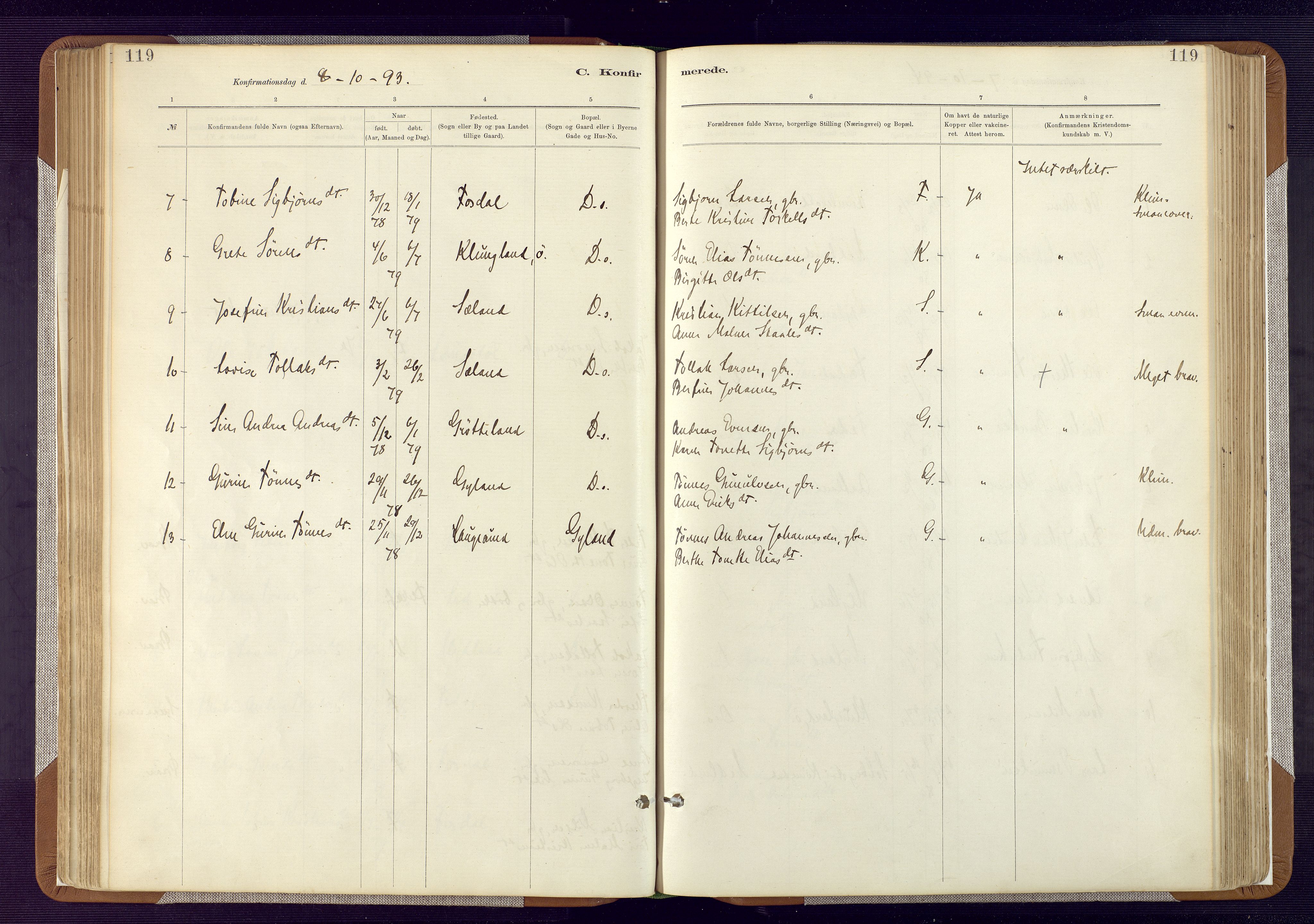 Bakke sokneprestkontor, AV/SAK-1111-0002/F/Fa/Fab/L0003: Parish register (official) no. A 3, 1884-1921, p. 119