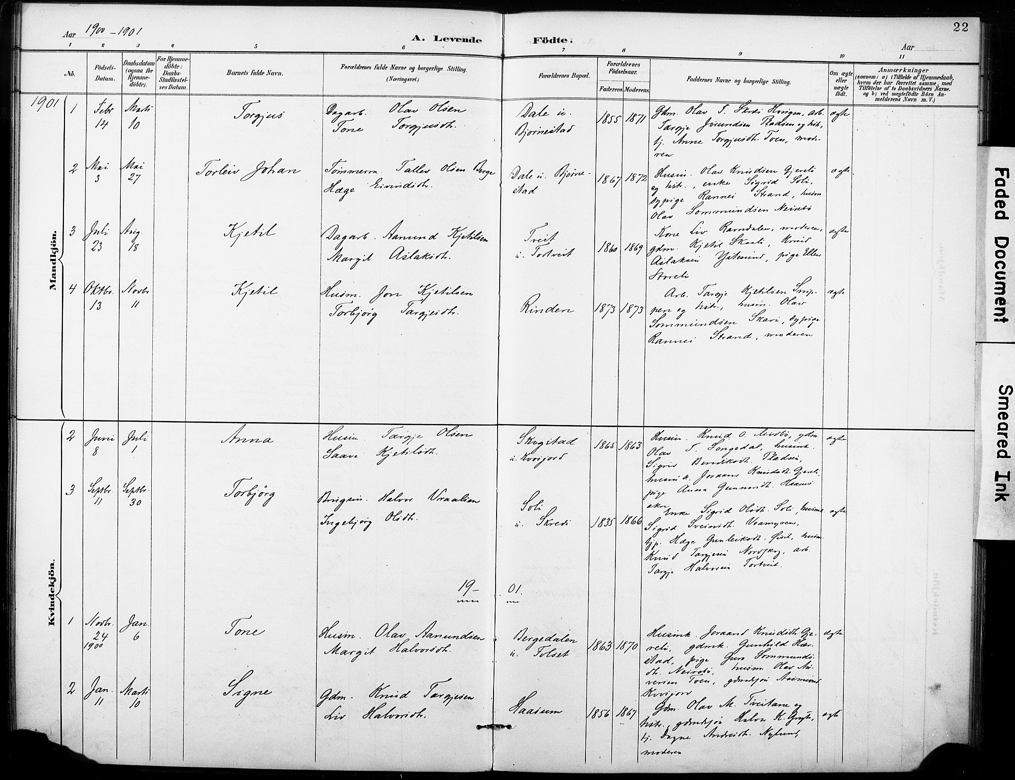 Fyresdal kirkebøker, AV/SAKO-A-263/F/Fb/L0003: Parish register (official) no. II 3, 1887-1903, p. 22