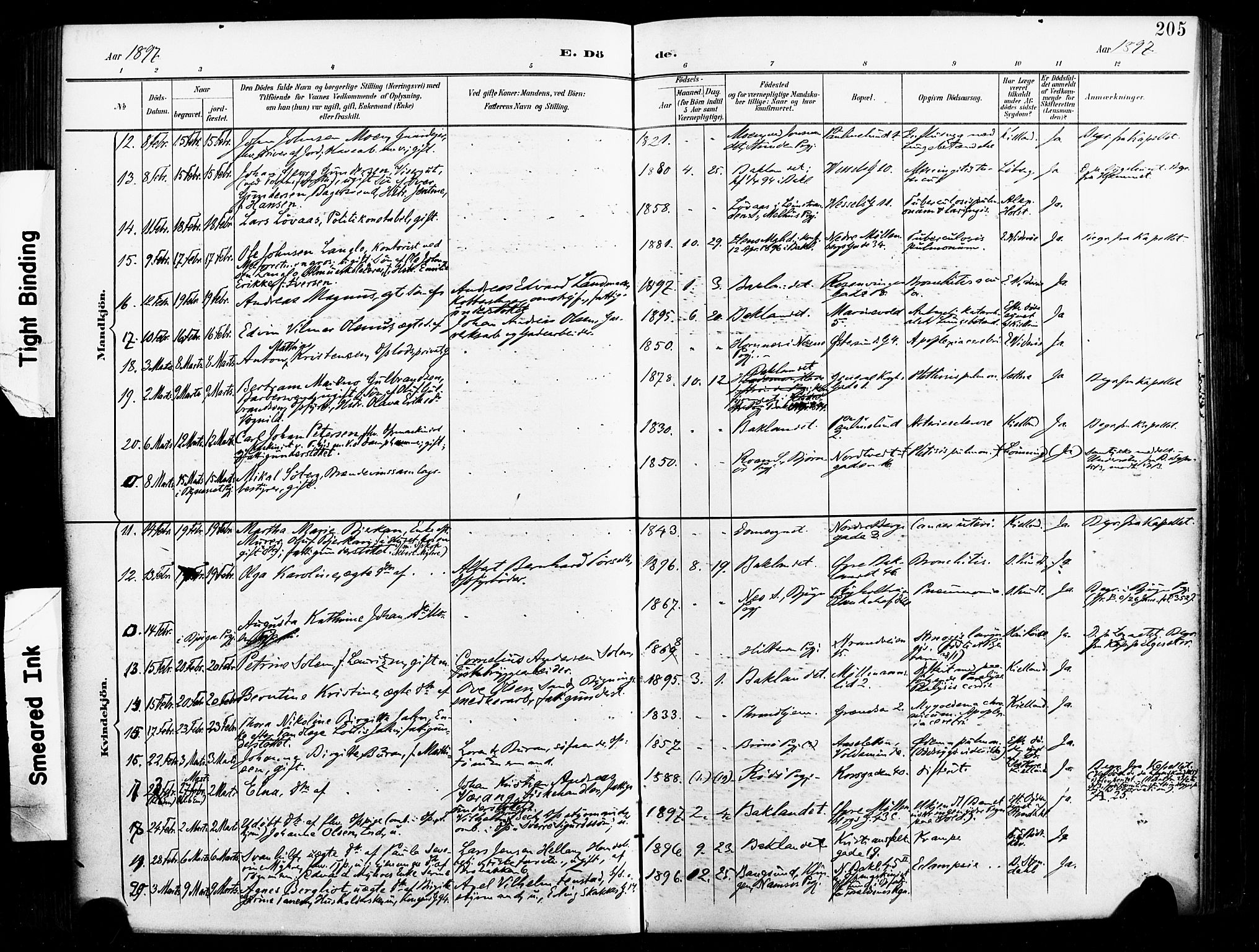 Ministerialprotokoller, klokkerbøker og fødselsregistre - Sør-Trøndelag, AV/SAT-A-1456/604/L0198: Parish register (official) no. 604A19, 1893-1900, p. 205