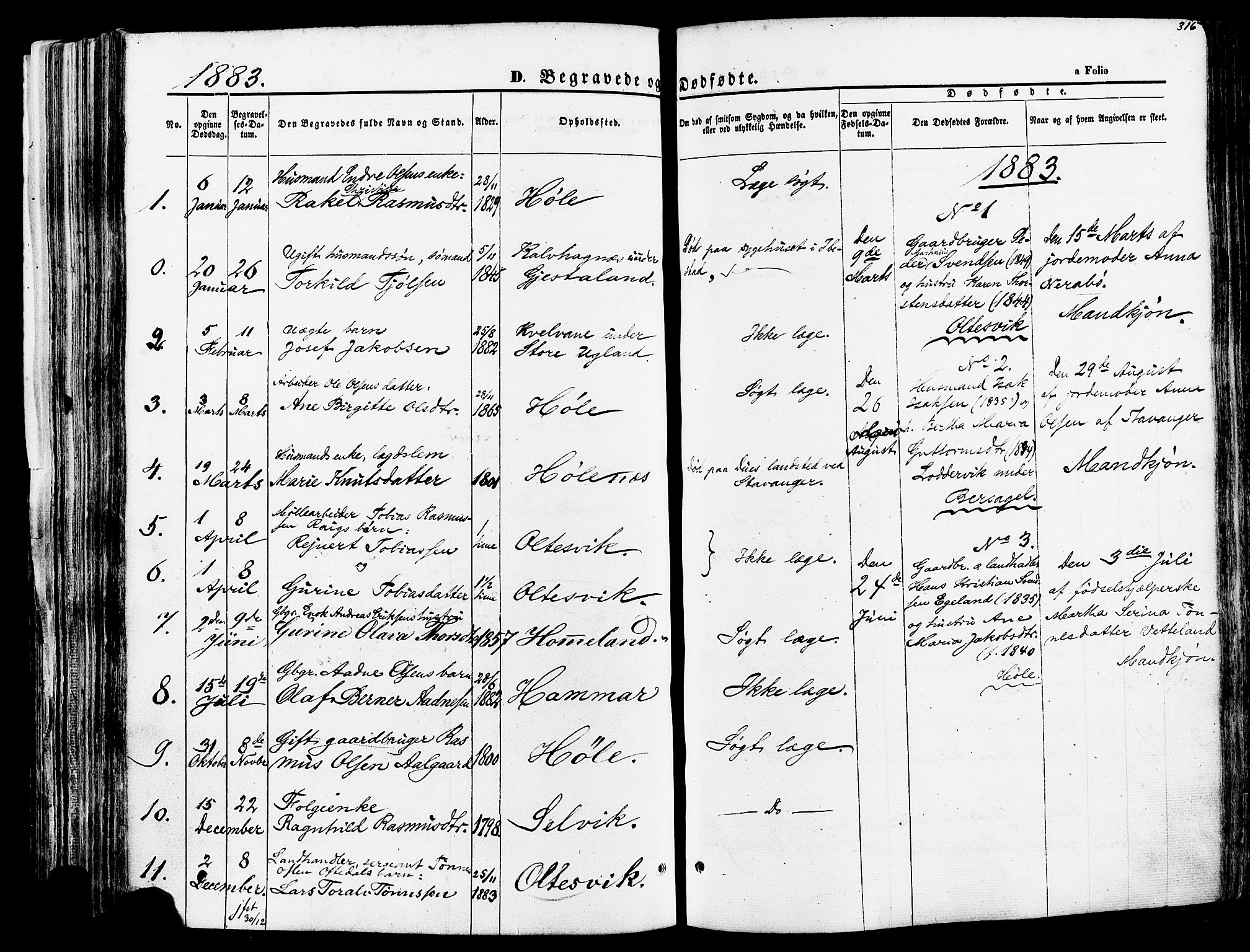 Høgsfjord sokneprestkontor, AV/SAST-A-101624/H/Ha/Haa/L0002: Parish register (official) no. A 2, 1855-1885, p. 316