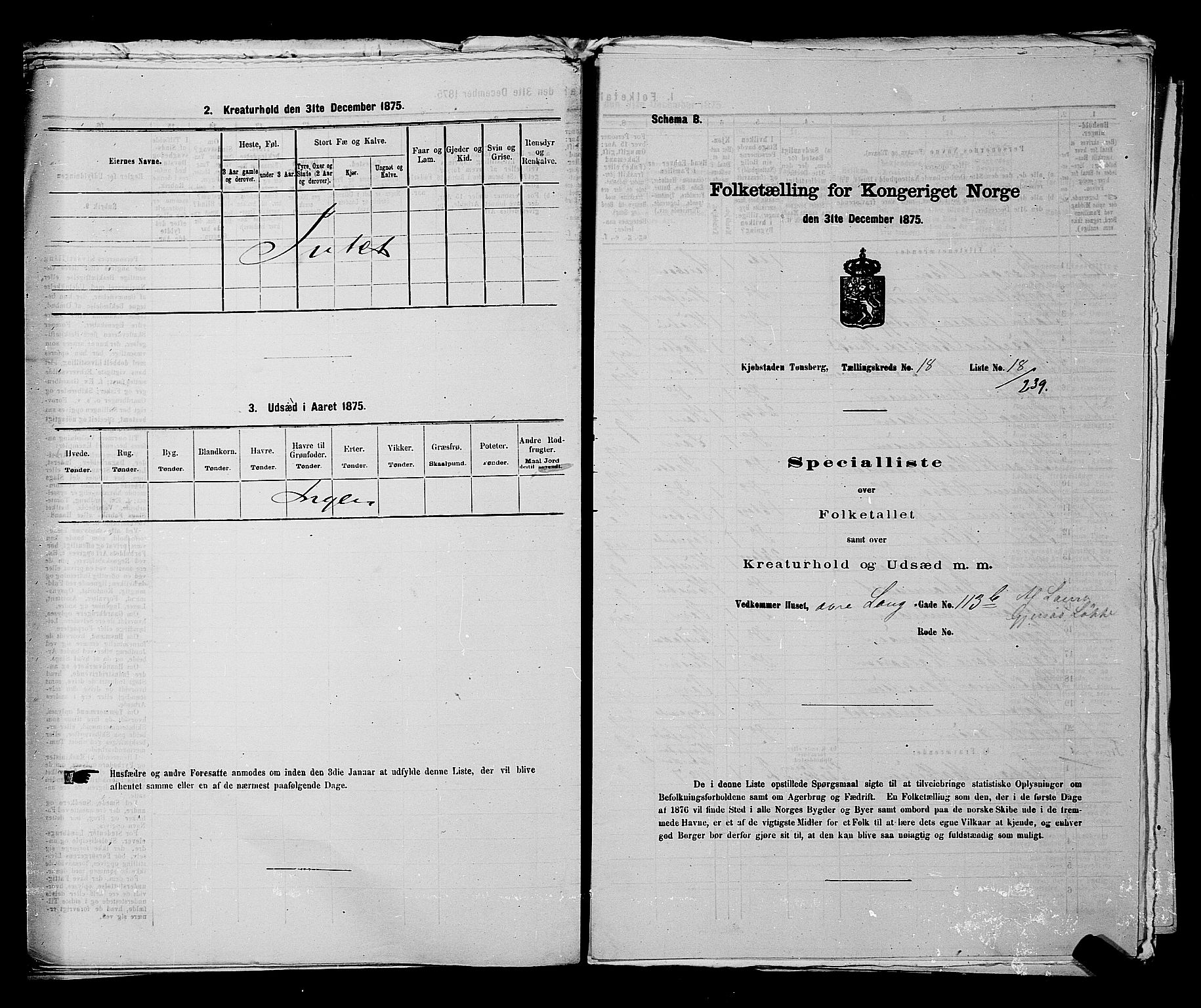 SAKO, 1875 census for 0705P Tønsberg, 1875, p. 585