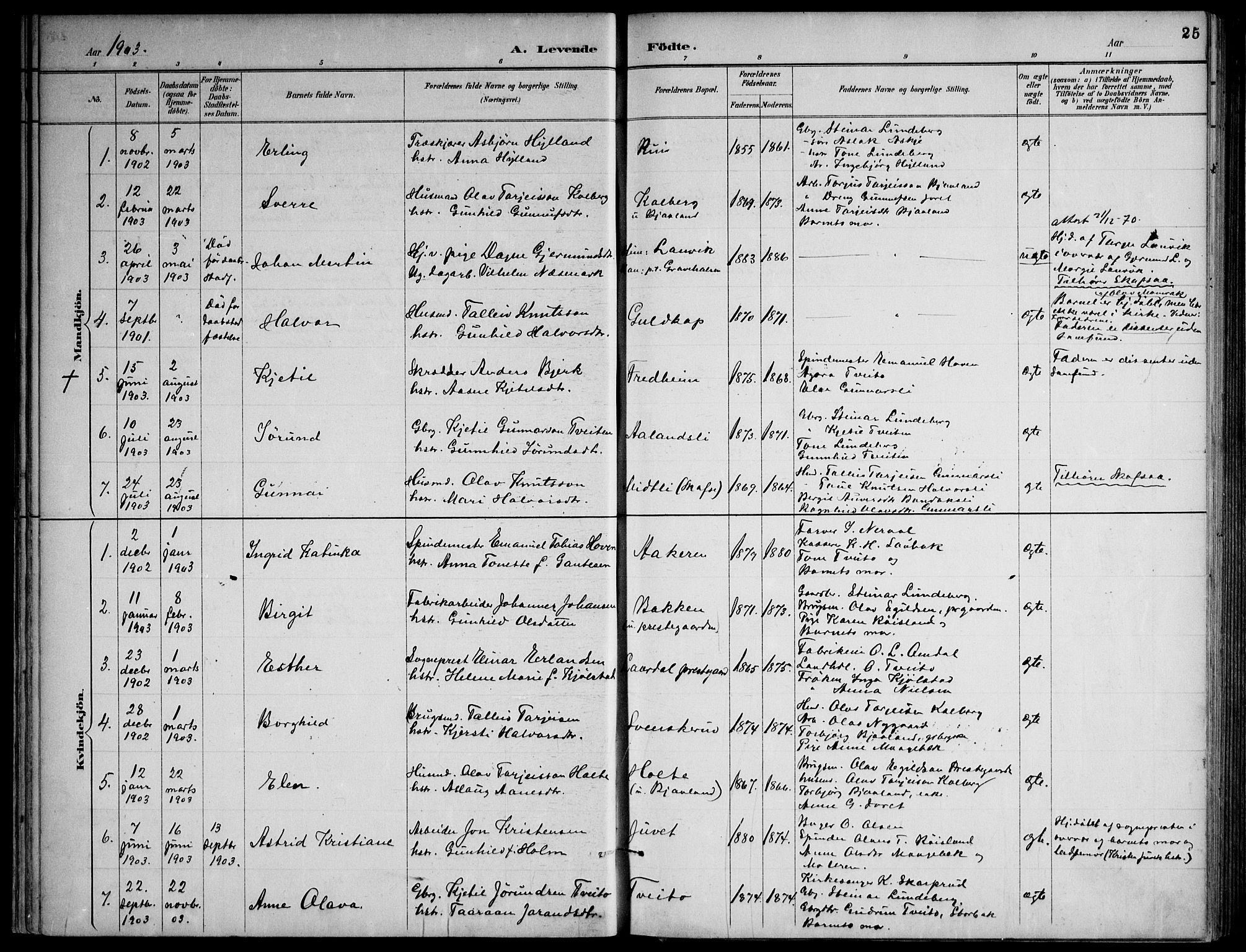 Lårdal kirkebøker, SAKO/A-284/F/Fa/L0007: Parish register (official) no. I 7, 1887-1906, p. 25