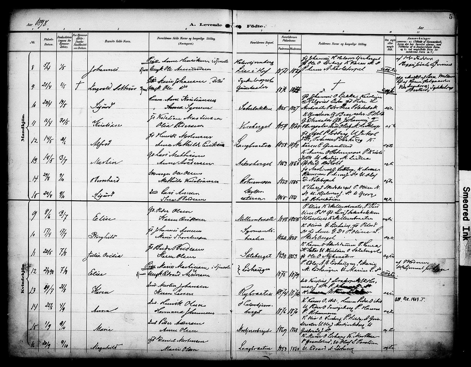 Grue prestekontor, SAH/PREST-036/H/Ha/Haa/L0014: Parish register (official) no. 14, 1898-1915, p. 5