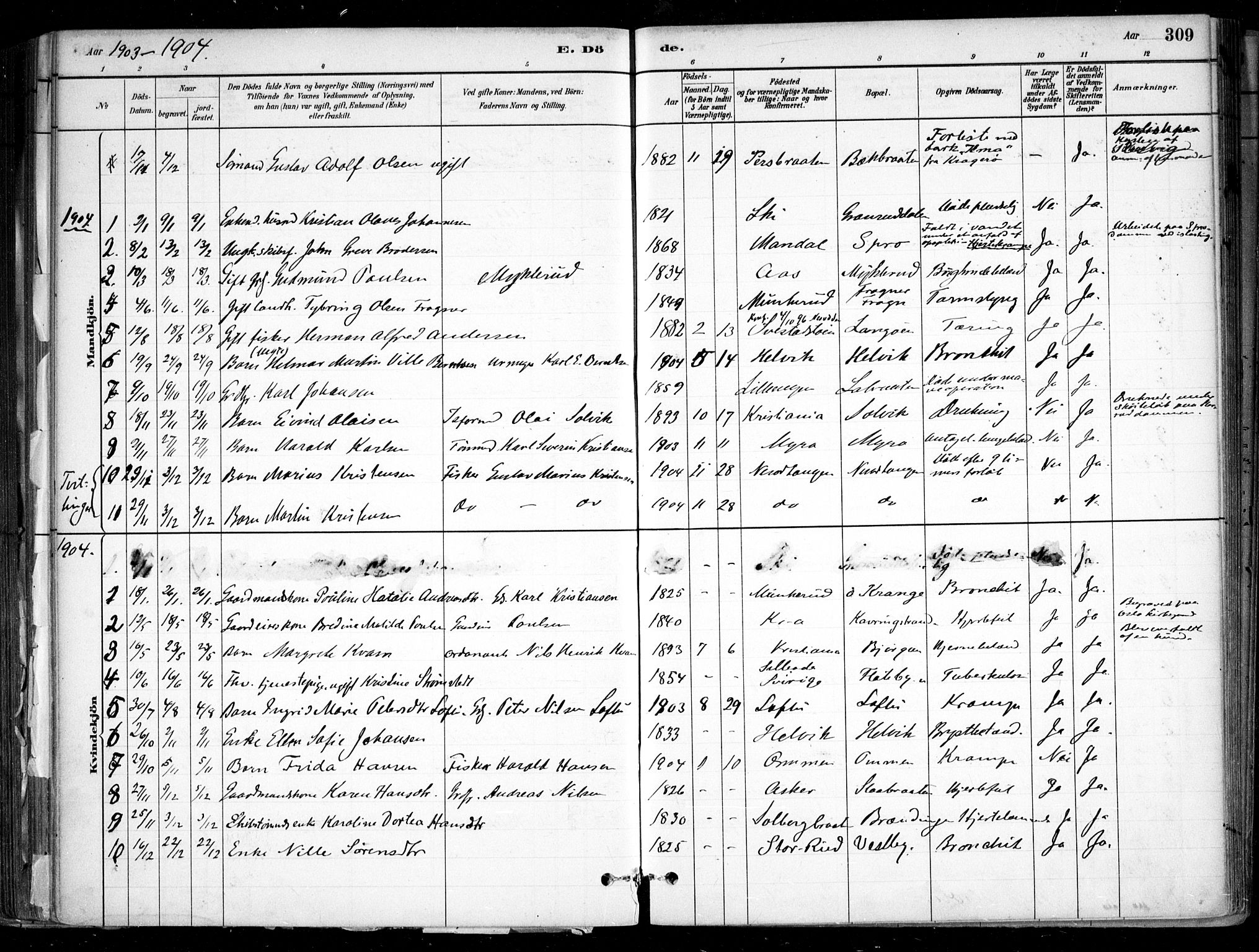 Nesodden prestekontor Kirkebøker, SAO/A-10013/F/Fa/L0009: Parish register (official) no. I 9, 1880-1915, p. 309