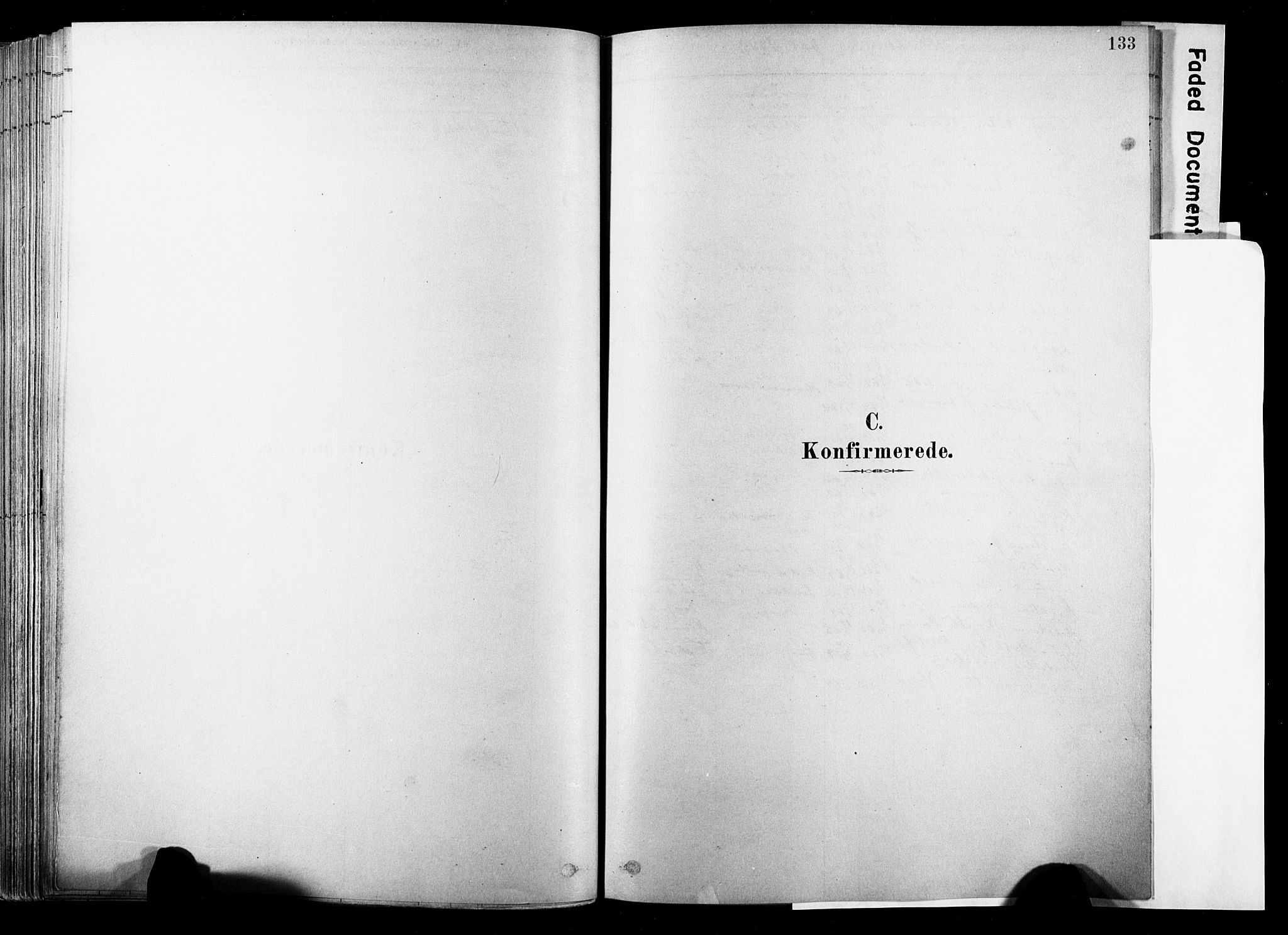 Strømsø kirkebøker, SAKO/A-246/F/Fb/L0006: Parish register (official) no. II 6, 1879-1910, p. 133