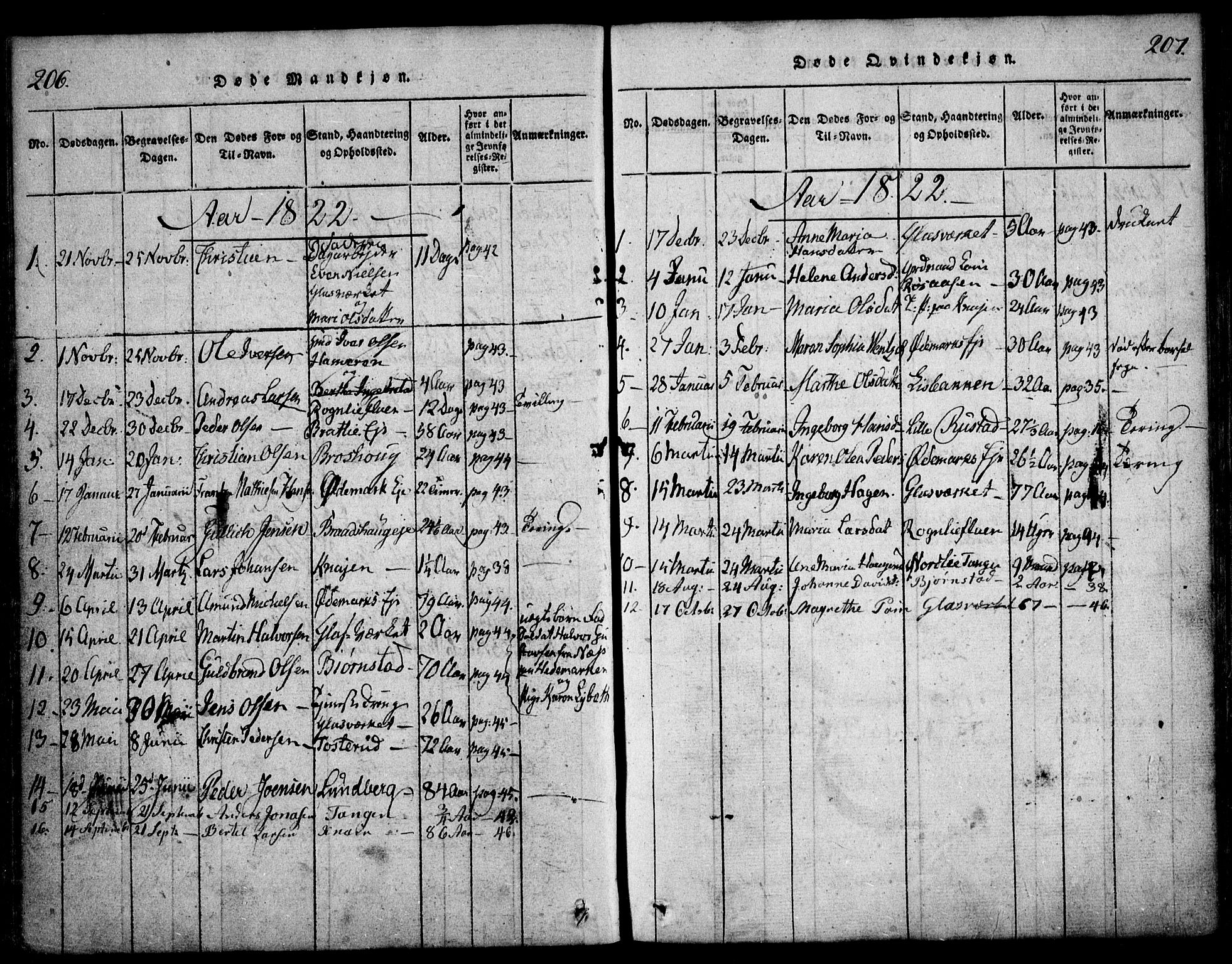 Hurdal prestekontor Kirkebøker, SAO/A-10889/F/Fa/L0003: Parish register (official) no. I 3, 1815-1828, p. 206-207