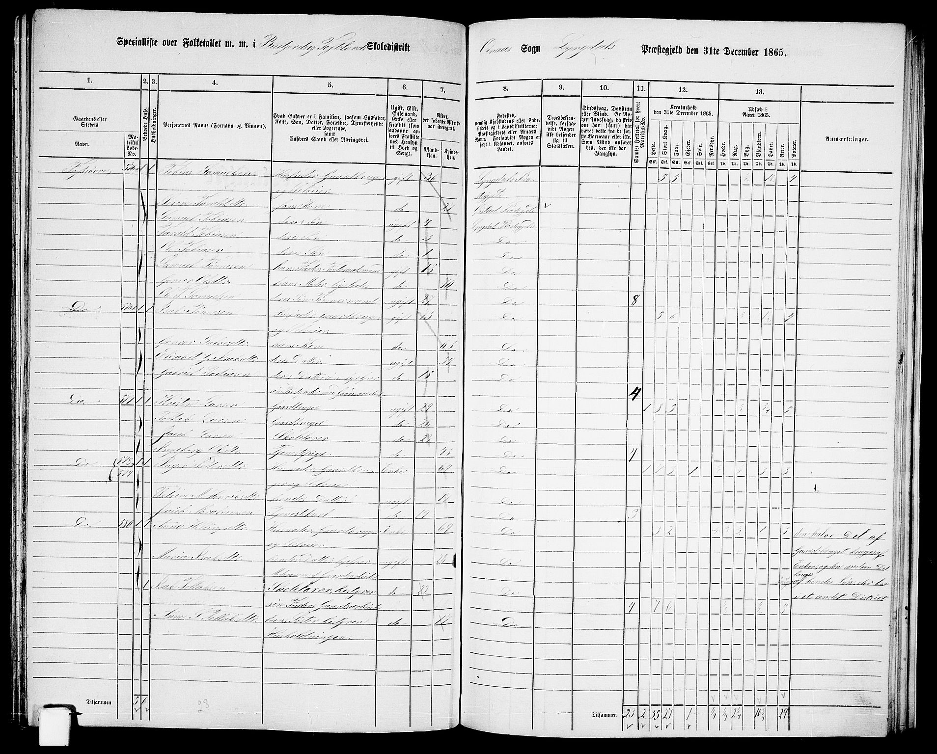 RA, 1865 census for Lyngdal, 1865, p. 217