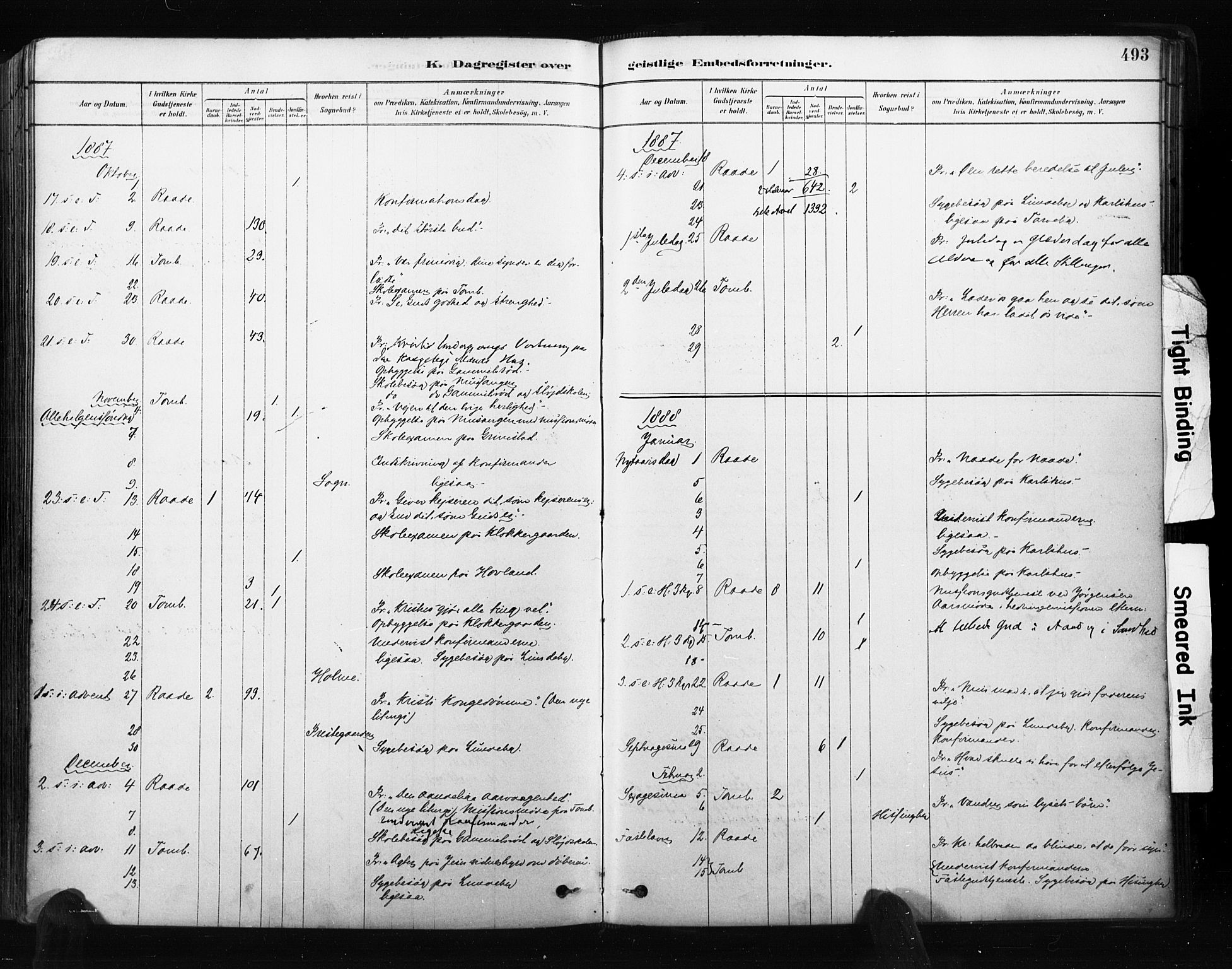 Råde prestekontor kirkebøker, AV/SAO-A-2009/F/Fa/L0007: Parish register (official) no. 7, 1878-1902, p. 493