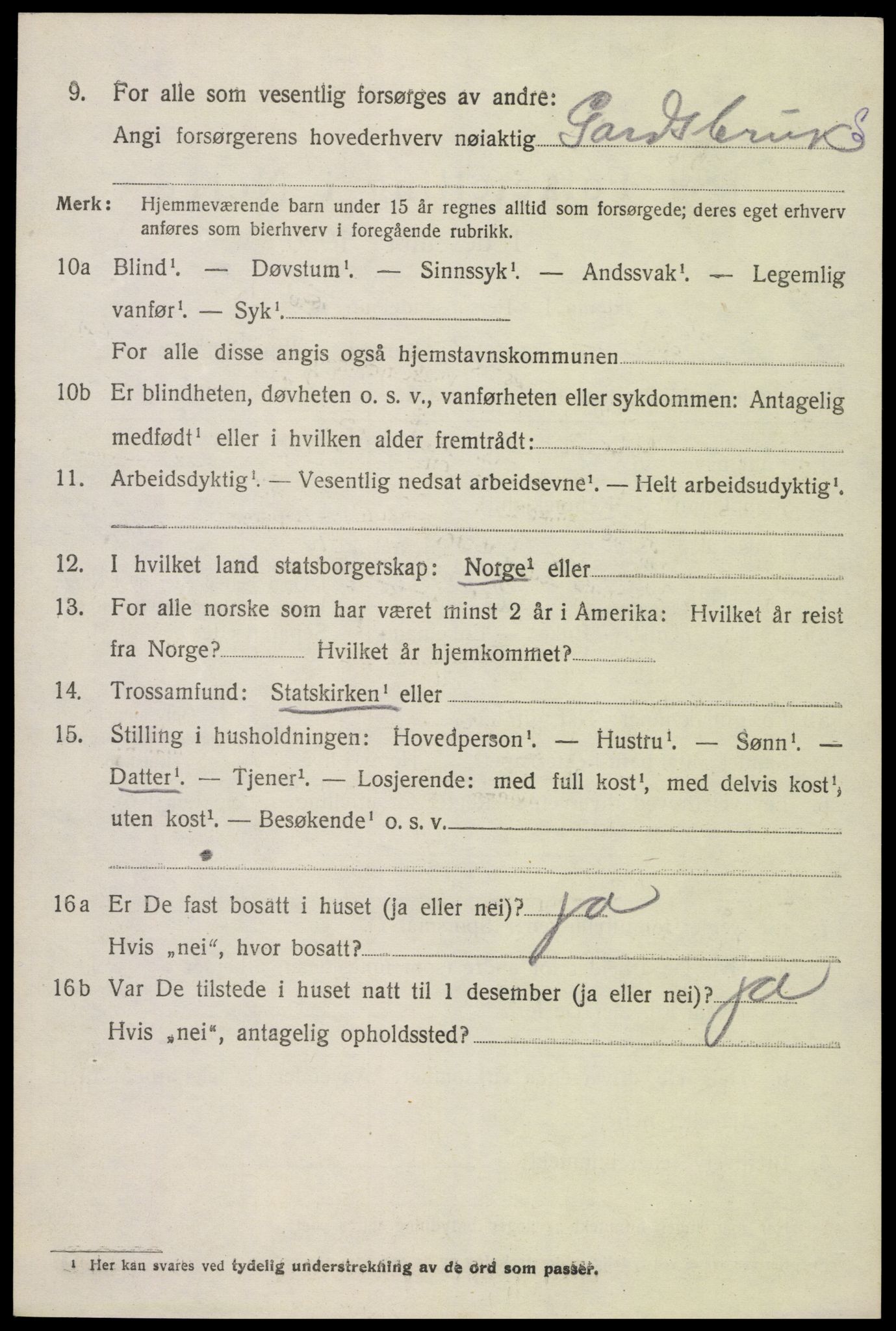 SAK, 1920 census for Hornnes, 1920, p. 3114