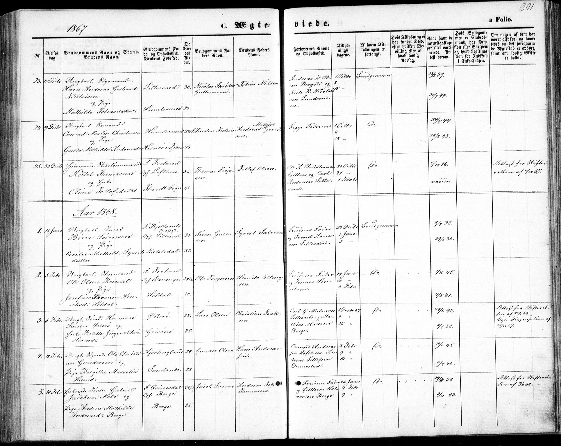 Vestre Moland sokneprestkontor, SAK/1111-0046/F/Fb/Fbb/L0004: Parish register (copy) no. B 4, 1861-1872, p. 201