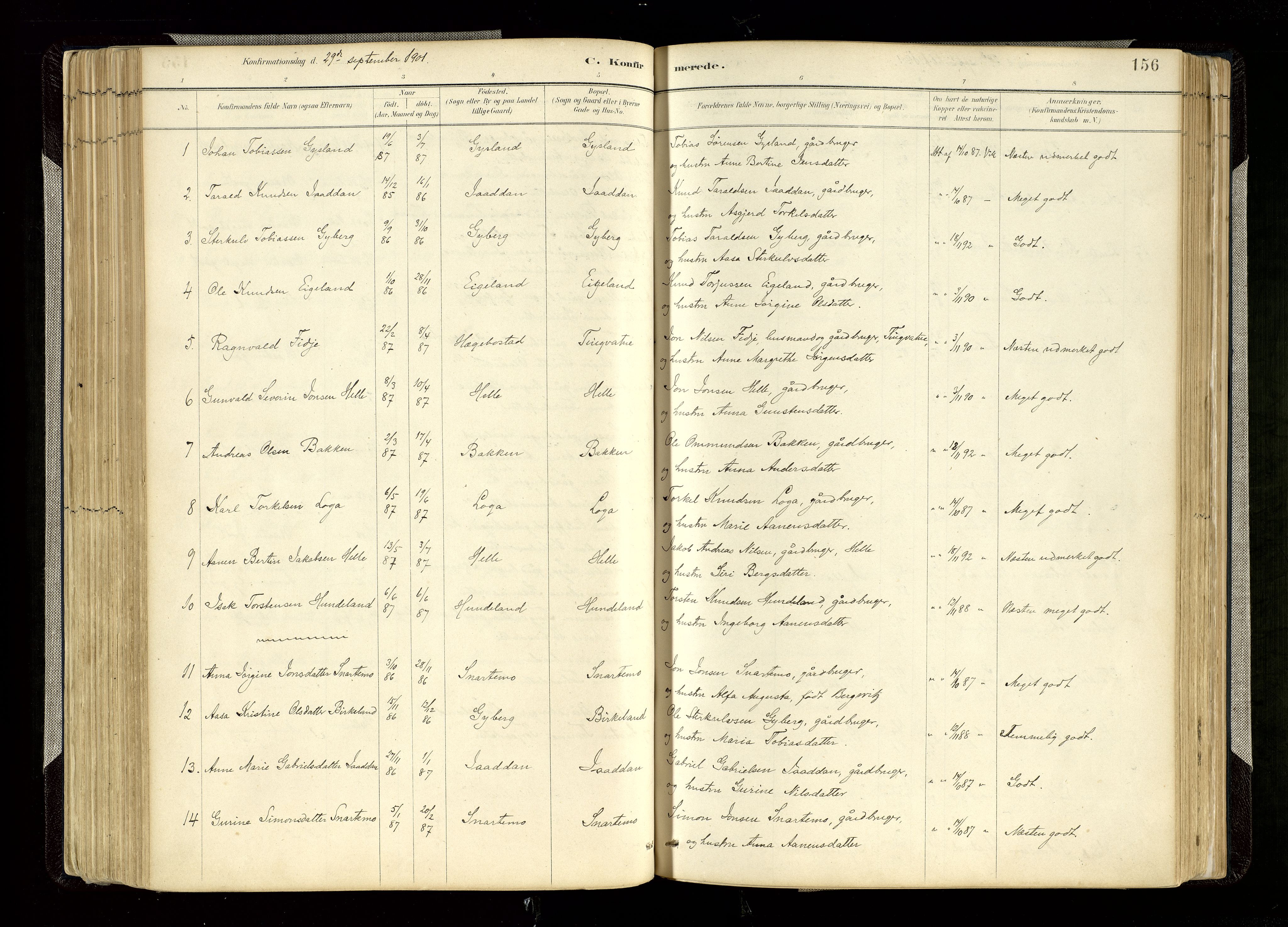 Hægebostad sokneprestkontor, SAK/1111-0024/F/Fa/Faa/L0006: Parish register (official) no. A 6, 1887-1929, p. 156