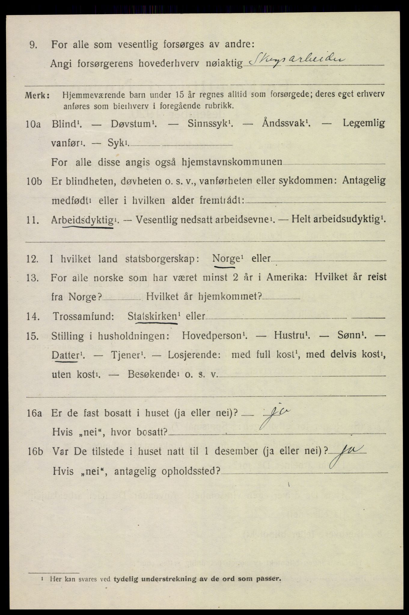 SAH, 1920 census for Vang (Hedmark), 1920, p. 17540