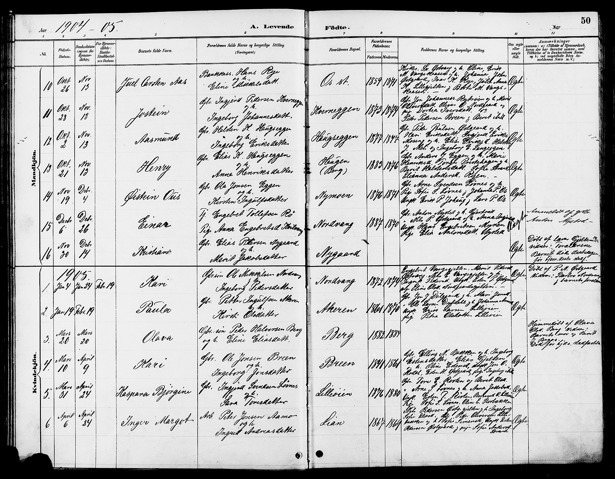 Tolga prestekontor, AV/SAH-PREST-062/L/L0008: Parish register (copy) no. 8, 1887-1912, p. 50