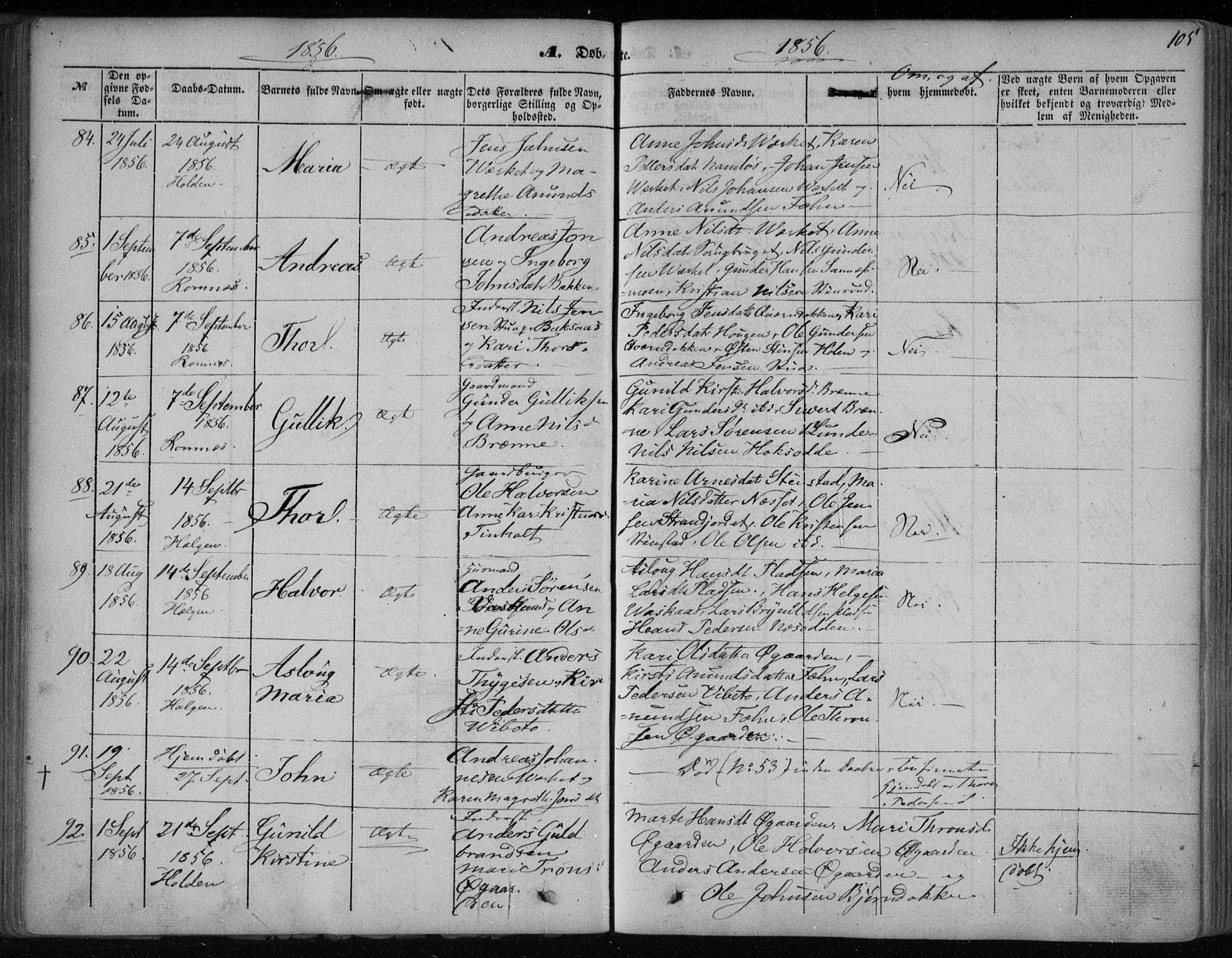 Holla kirkebøker, AV/SAKO-A-272/F/Fa/L0005: Parish register (official) no. 5, 1849-1860, p. 105