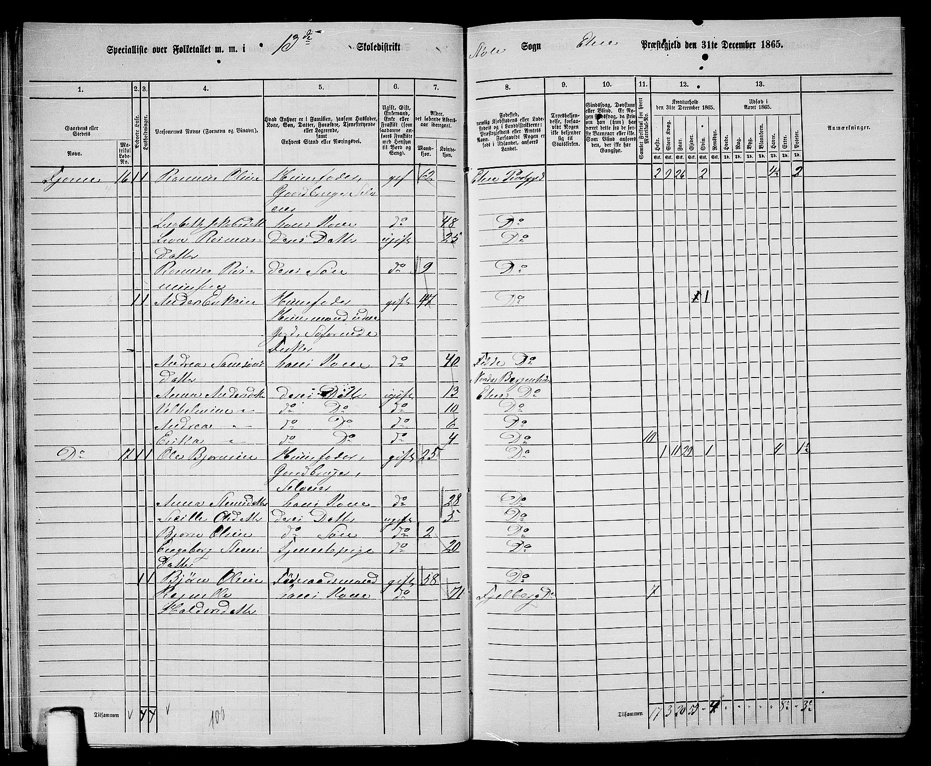 RA, 1865 census for Etne, 1865, p. 23