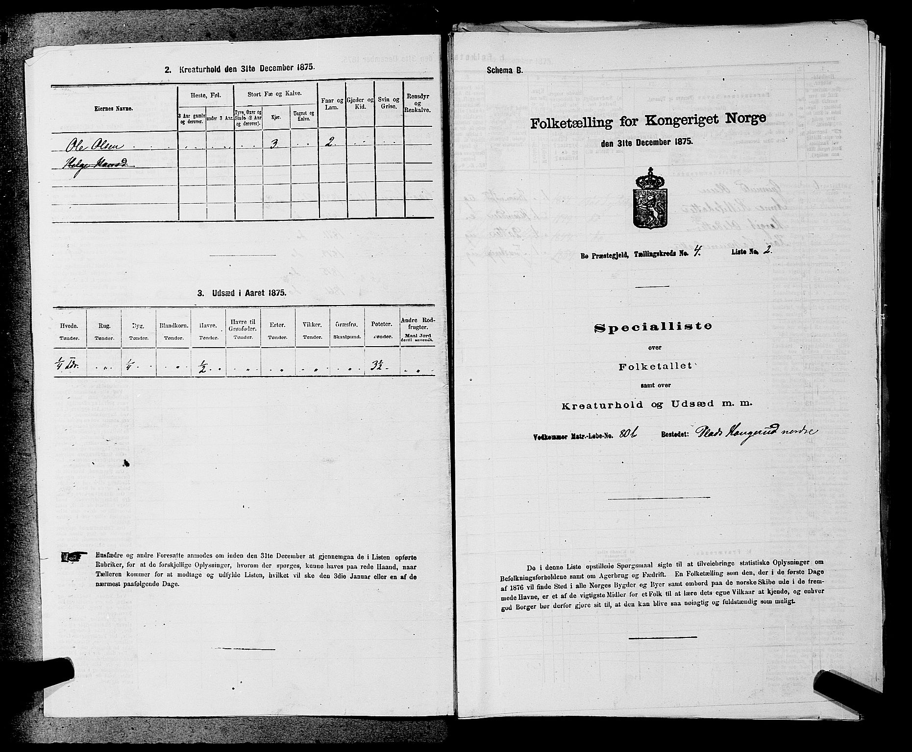 SAKO, 1875 census for 0821P Bø, 1875, p. 429