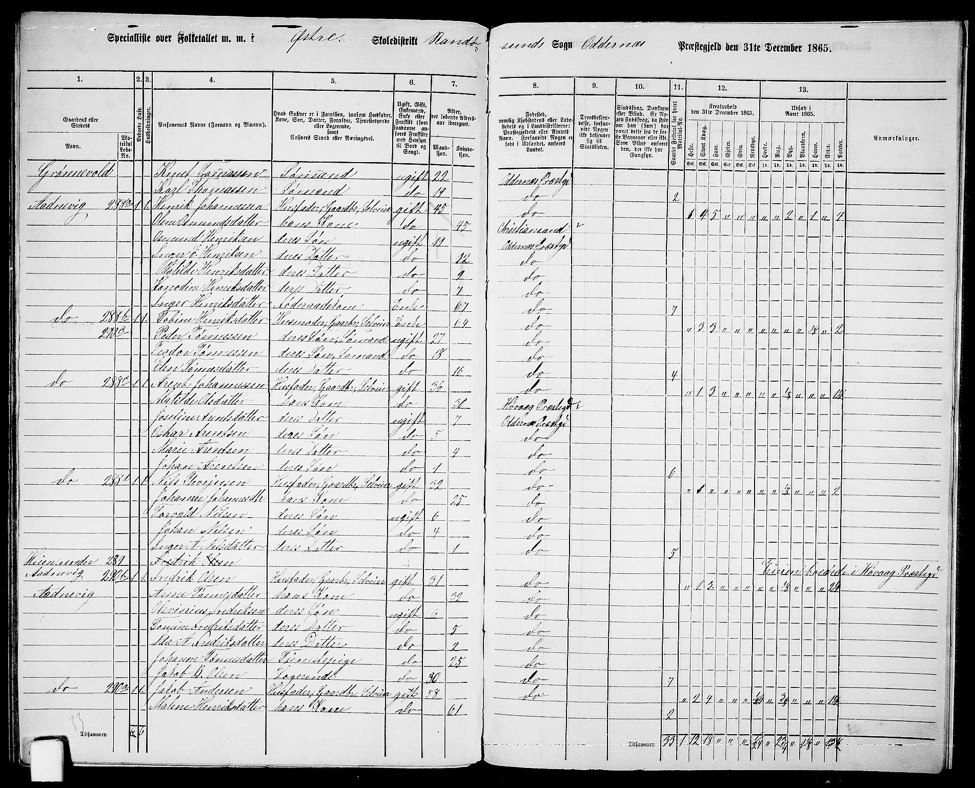 RA, 1865 census for Oddernes, 1865, p. 155