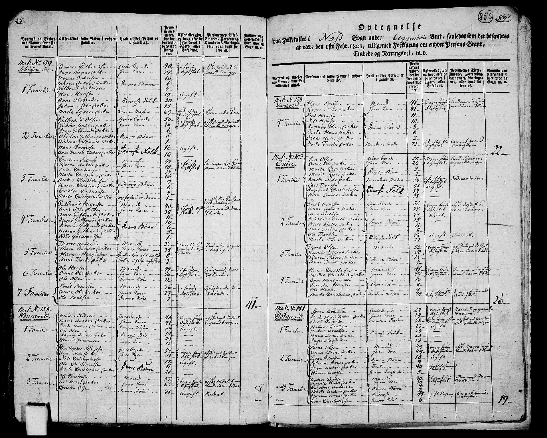 RA, 1801 census for 0236P Nes, 1801, p. 855b-856a